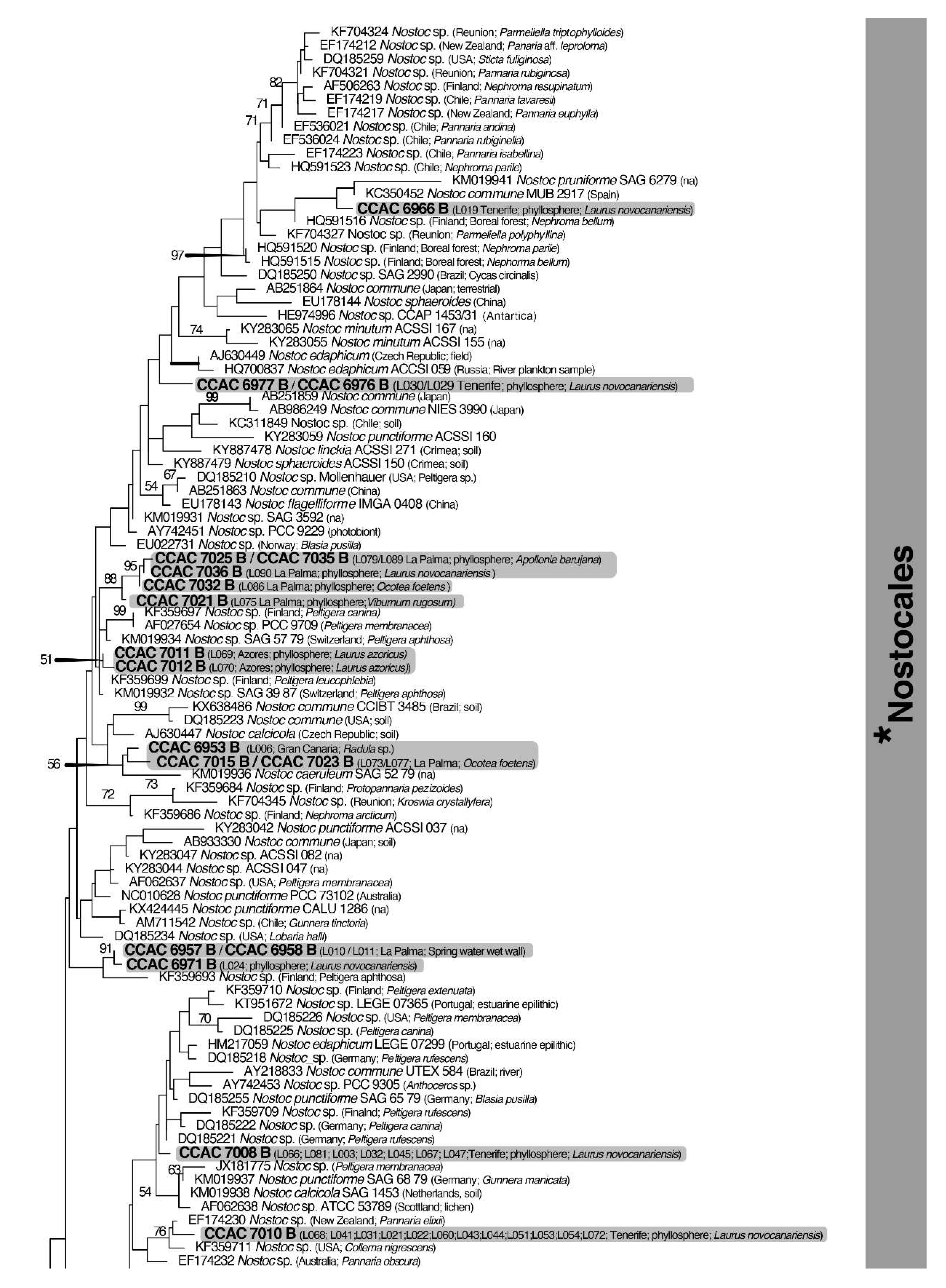 Preprints 138836 g006a