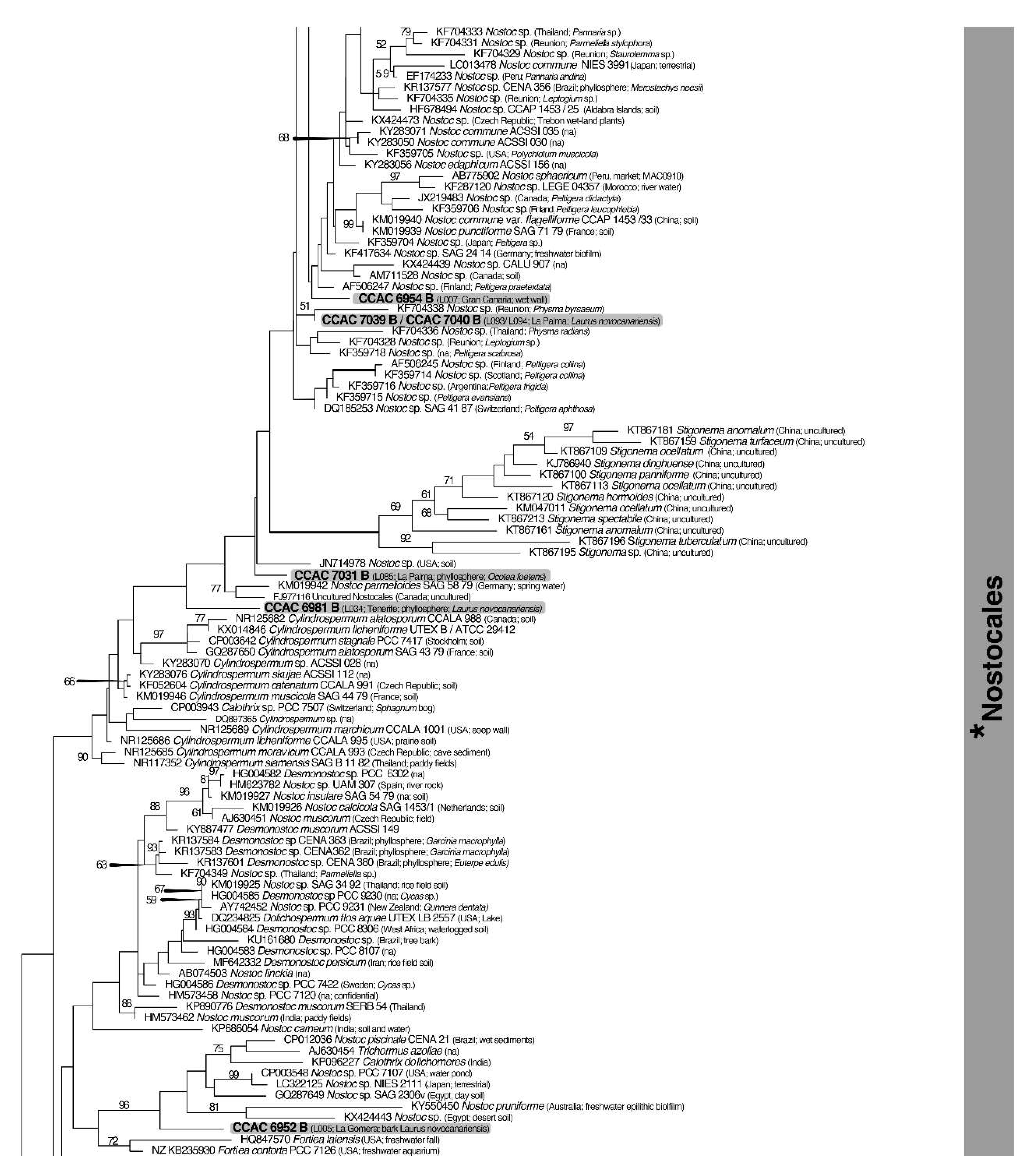 Preprints 138836 g006b