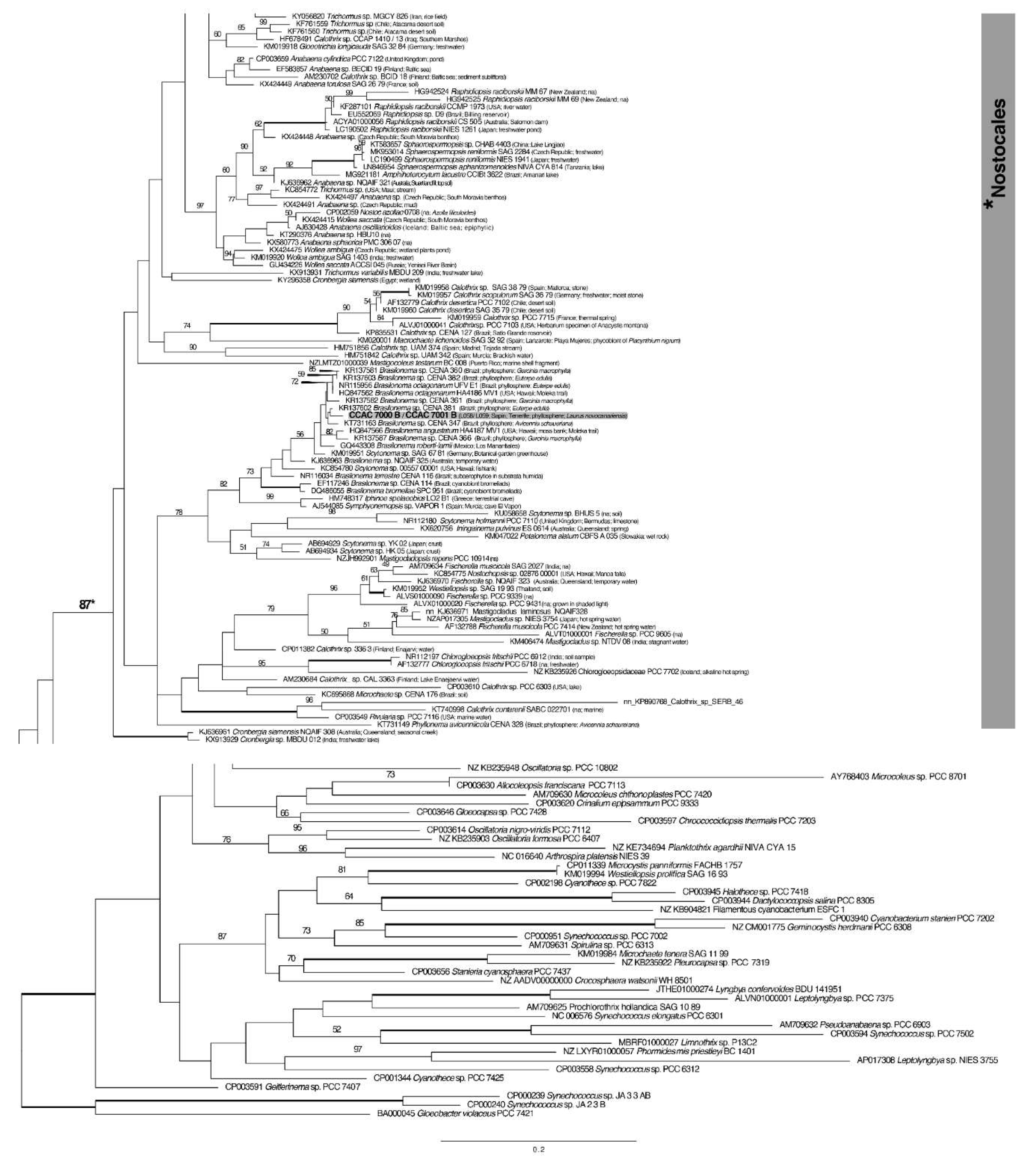 Preprints 138836 g006e