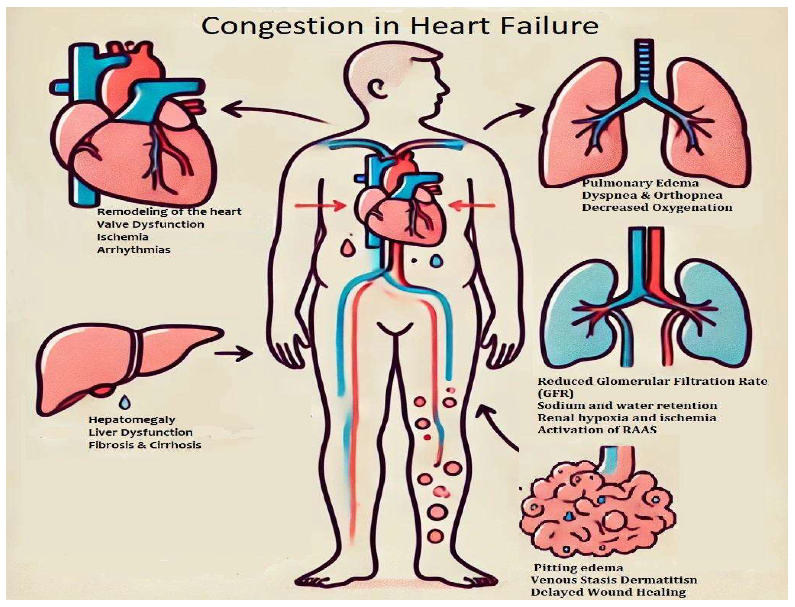 Preprints 150302 g002