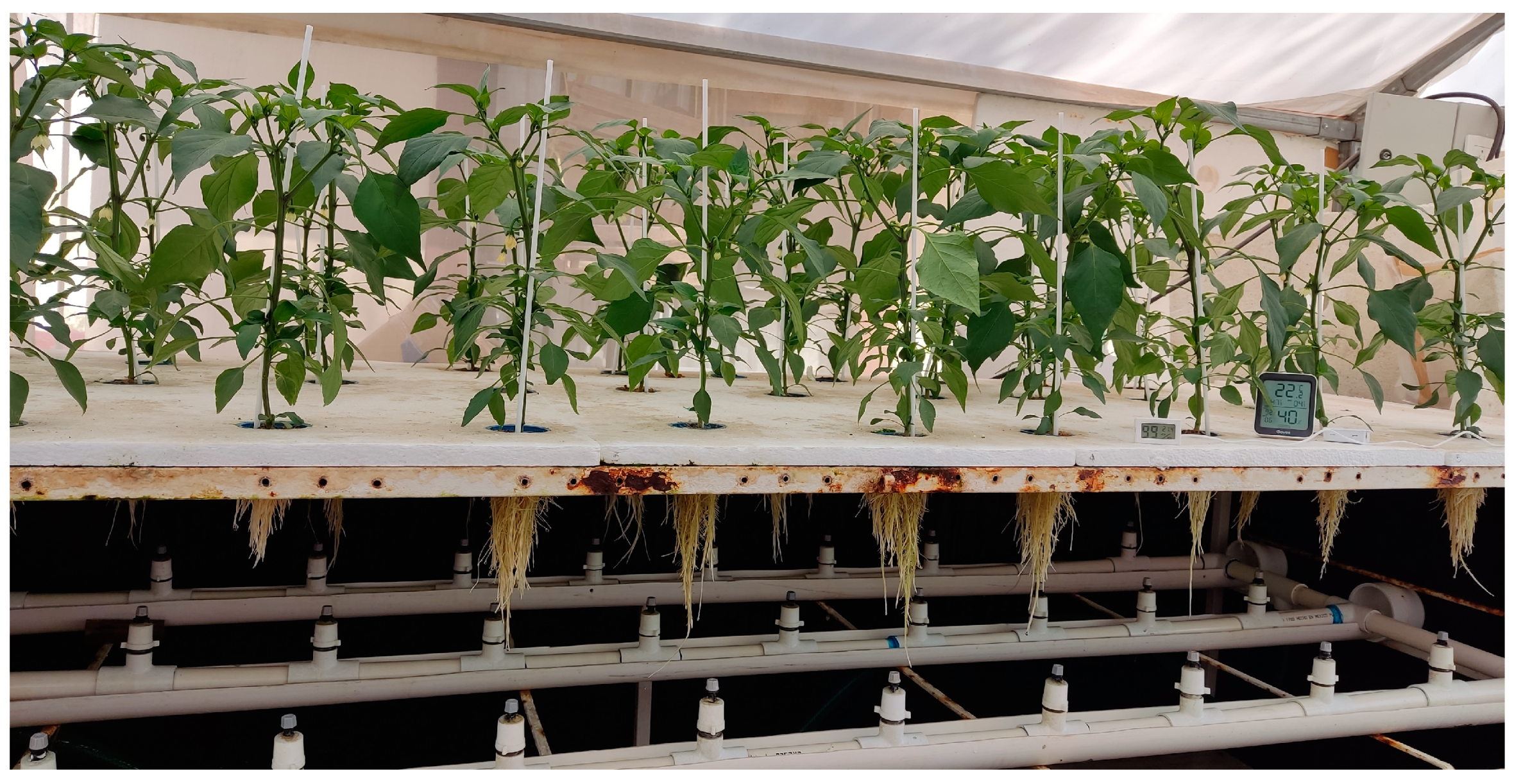 Preprints 92285 g001