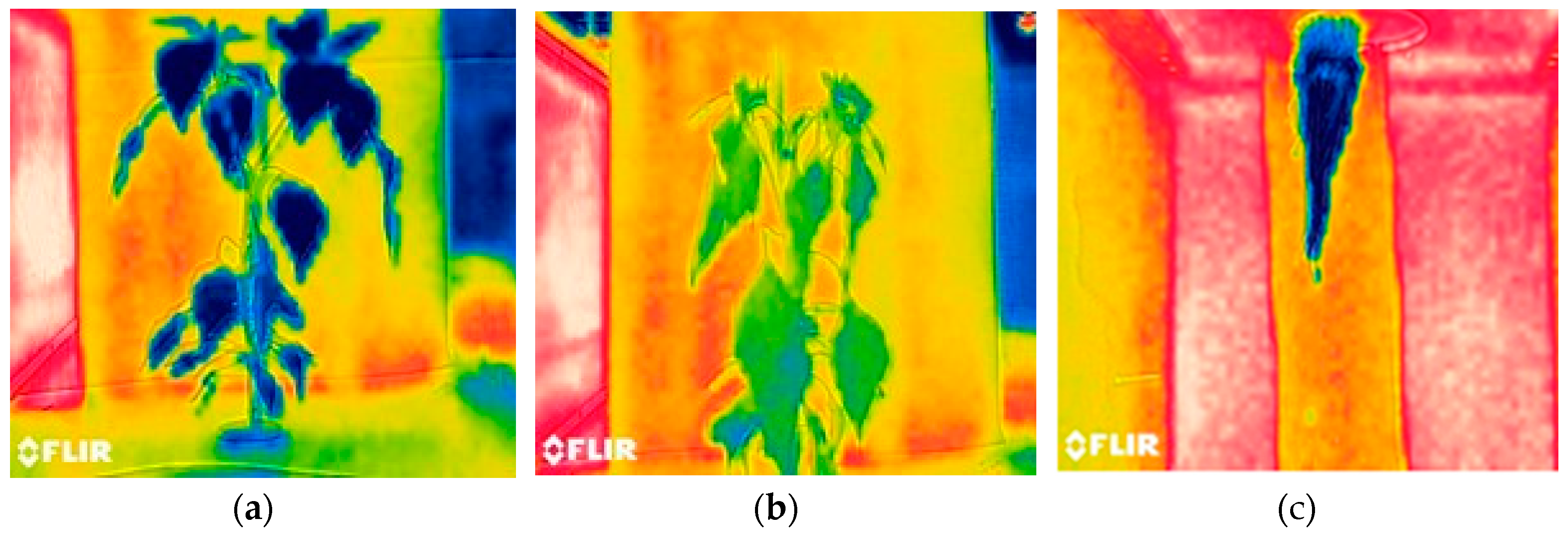 Preprints 92285 g004