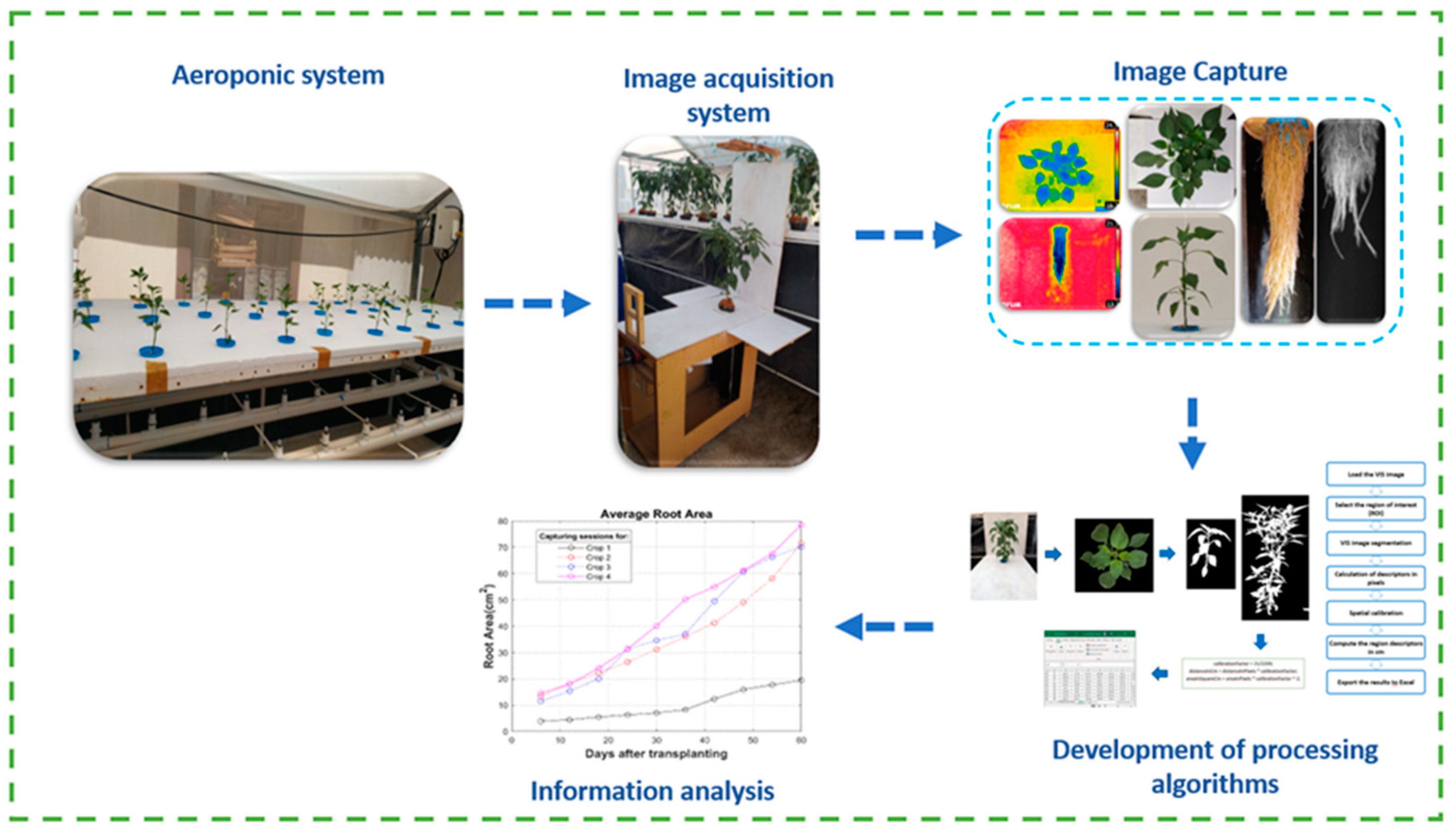 Preprints 92285 g005