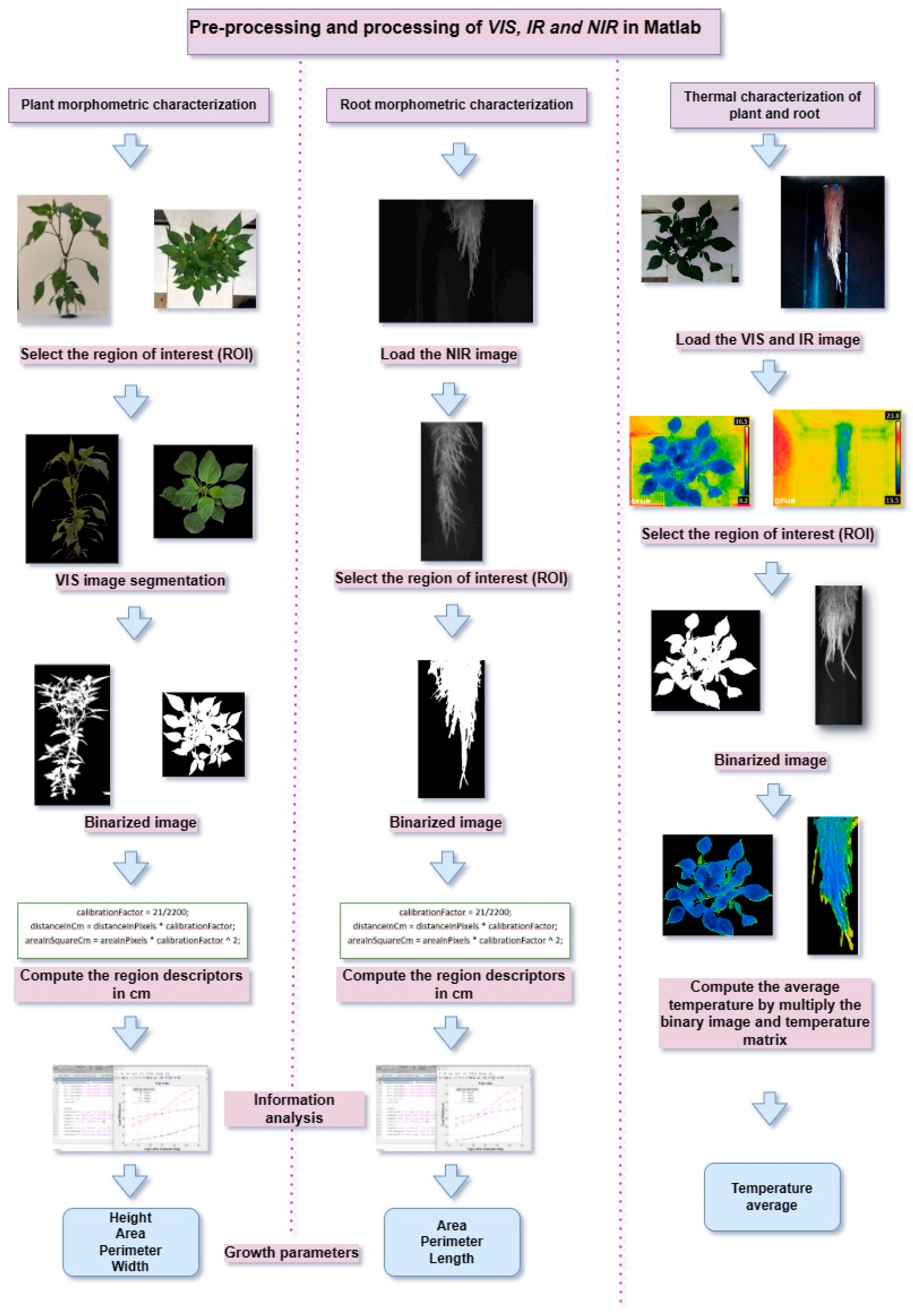 Preprints 92285 g010