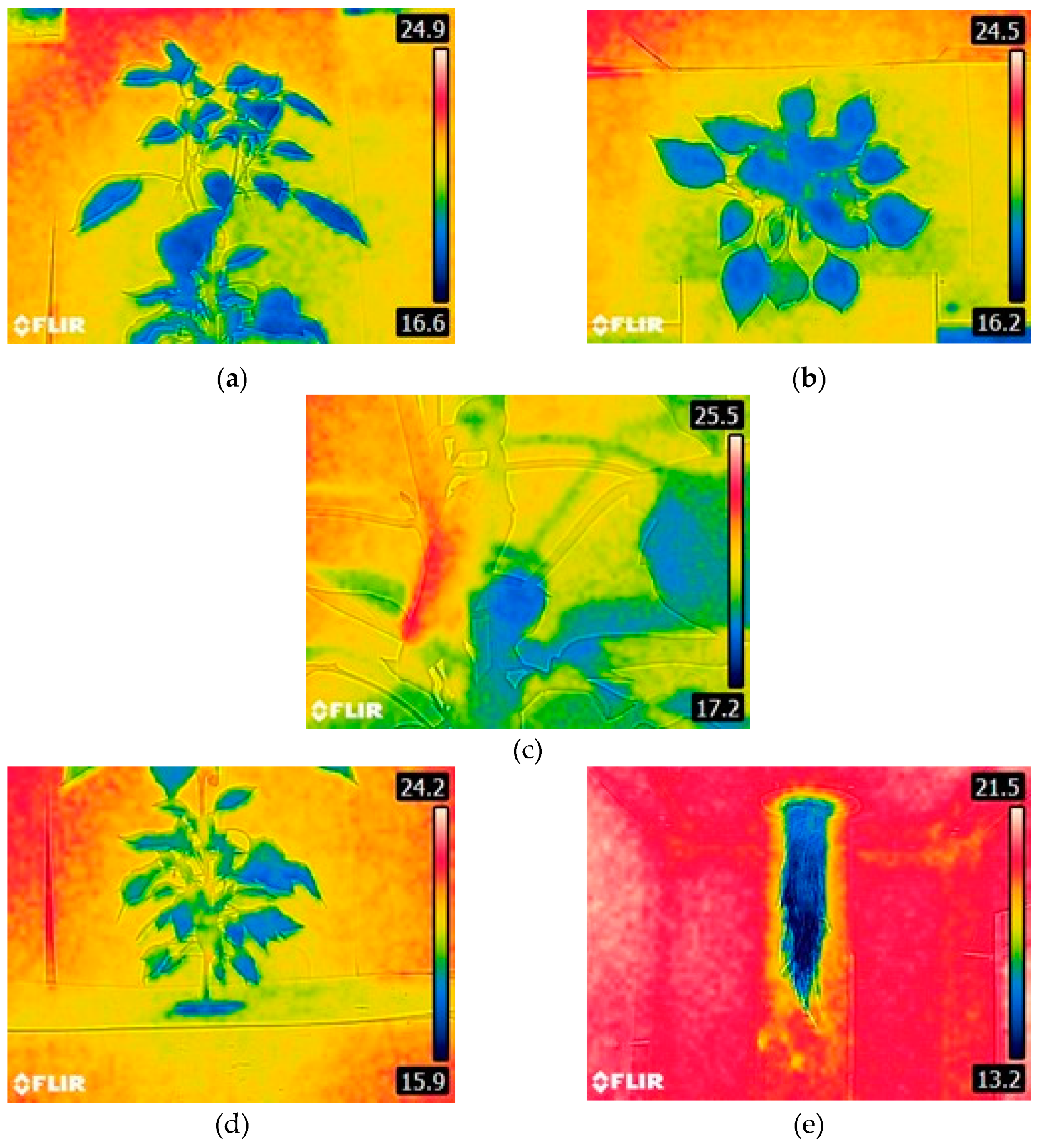 Preprints 92285 g011