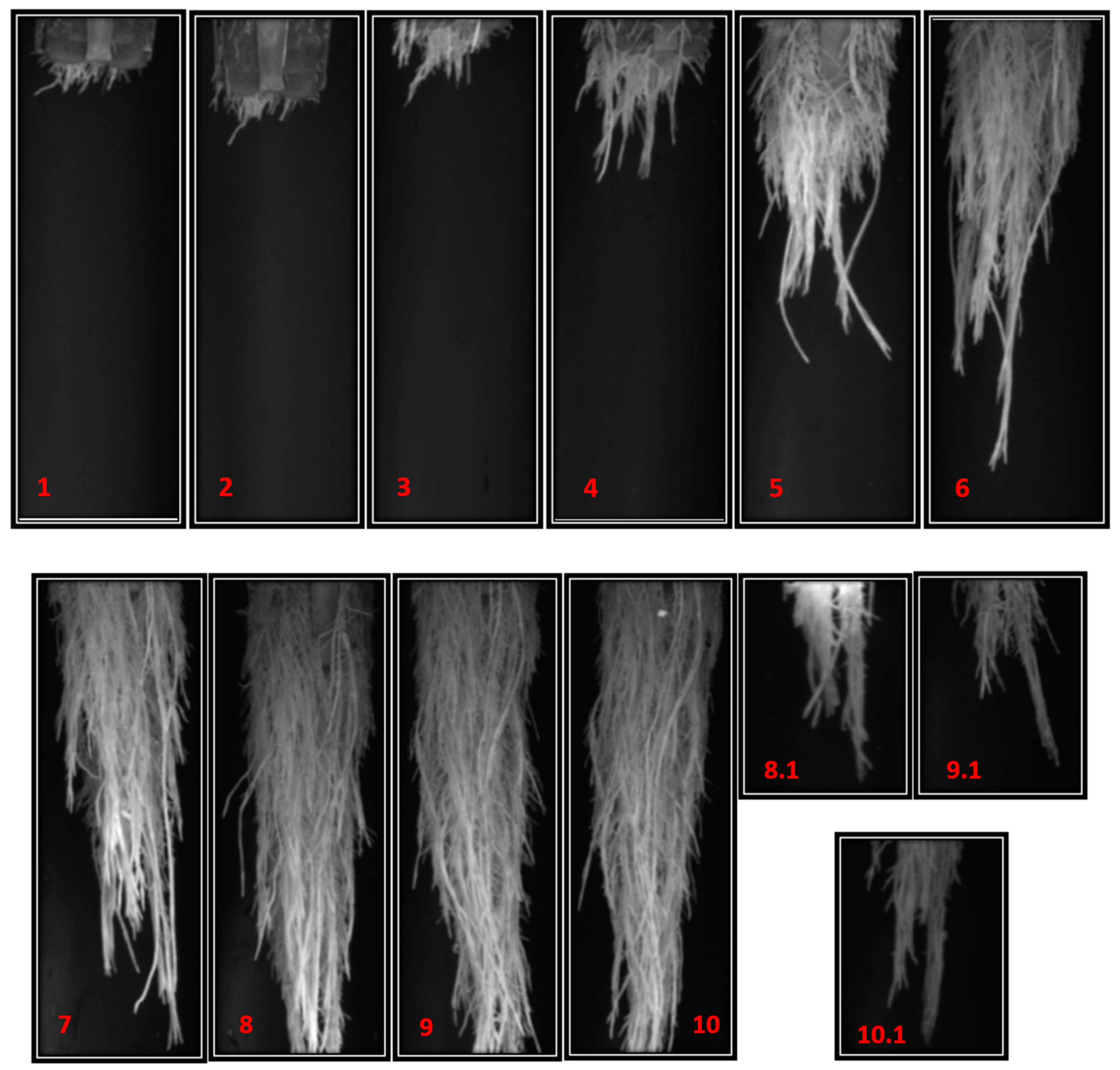 Preprints 92285 g013