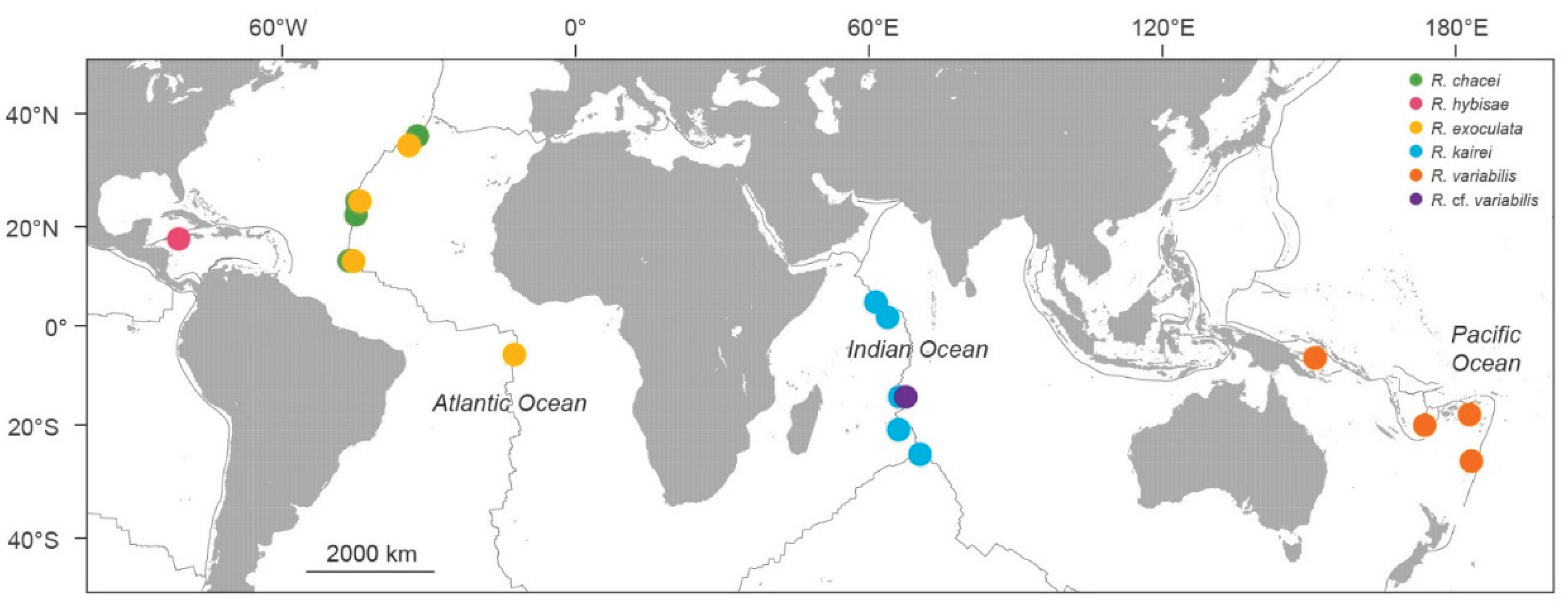 Preprints 187036 g001