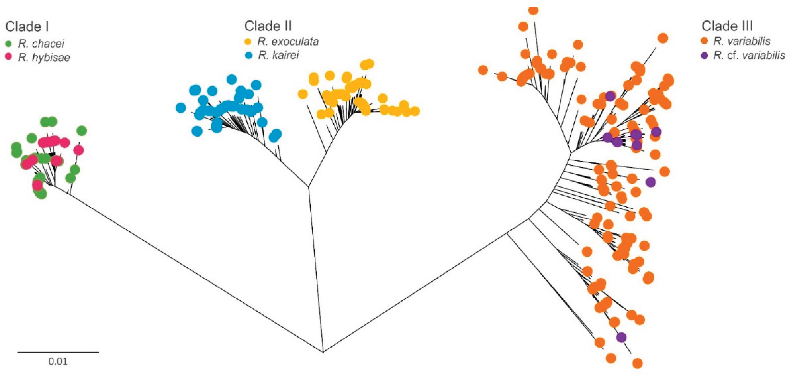 Preprints 187036 g002