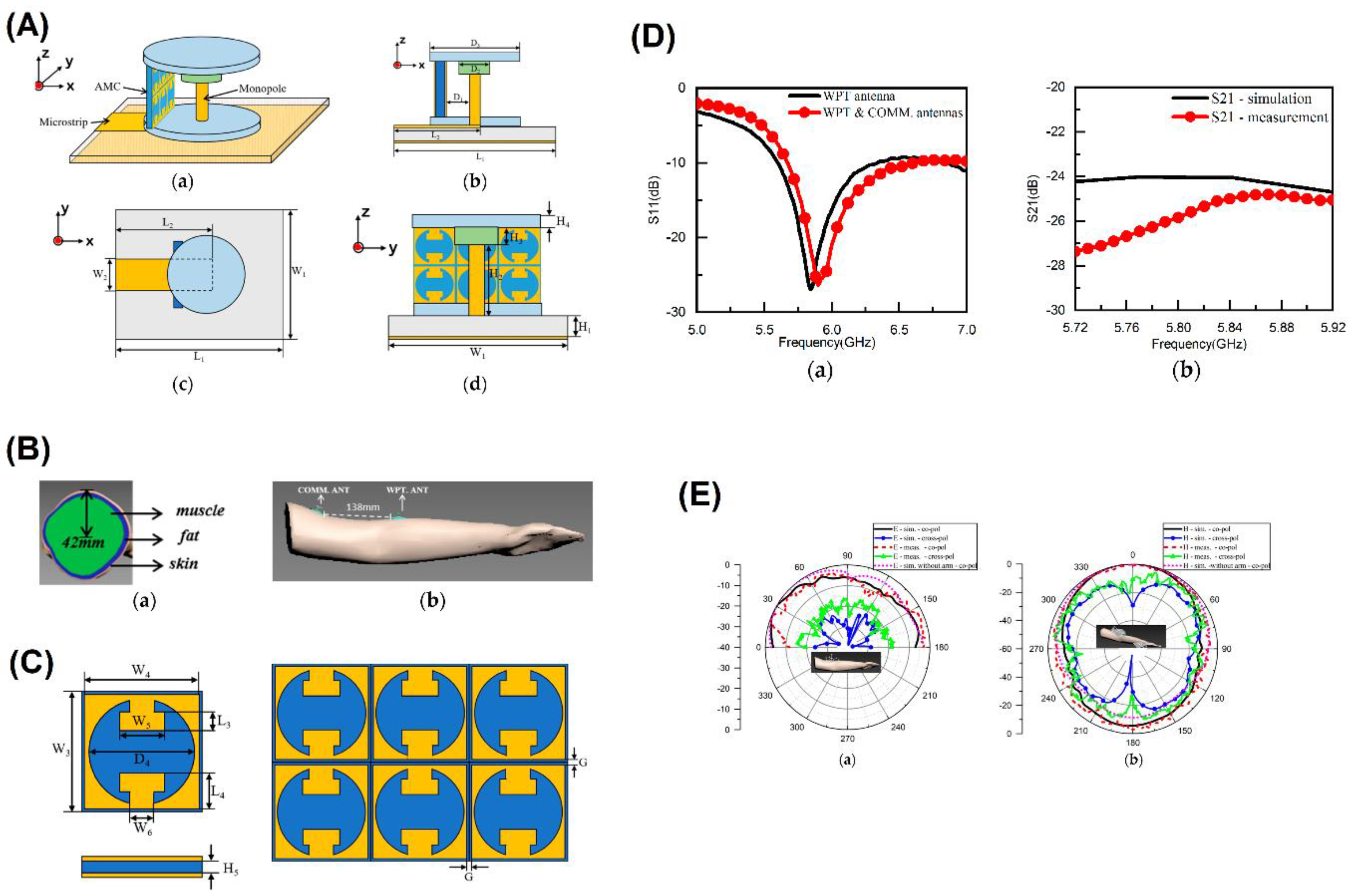 Preprints 165075 g008