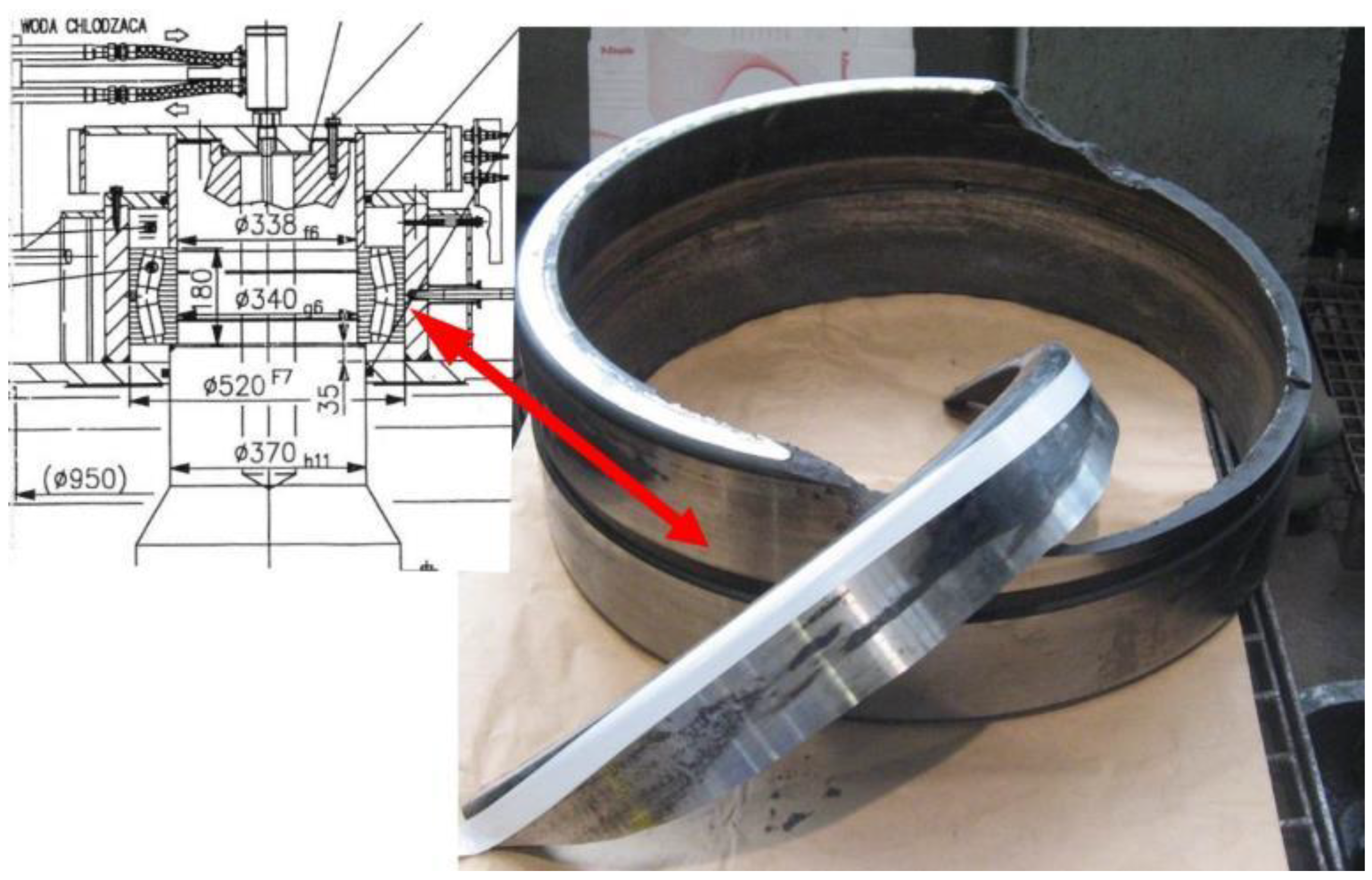 Preprints 141743 g002