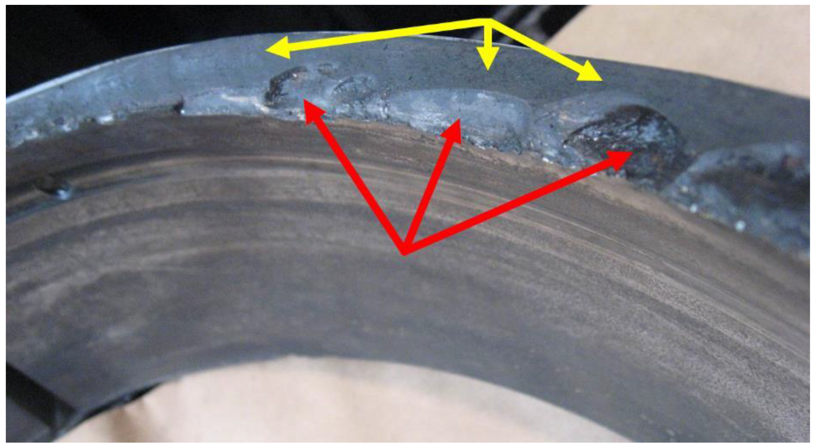 Preprints 141743 g005