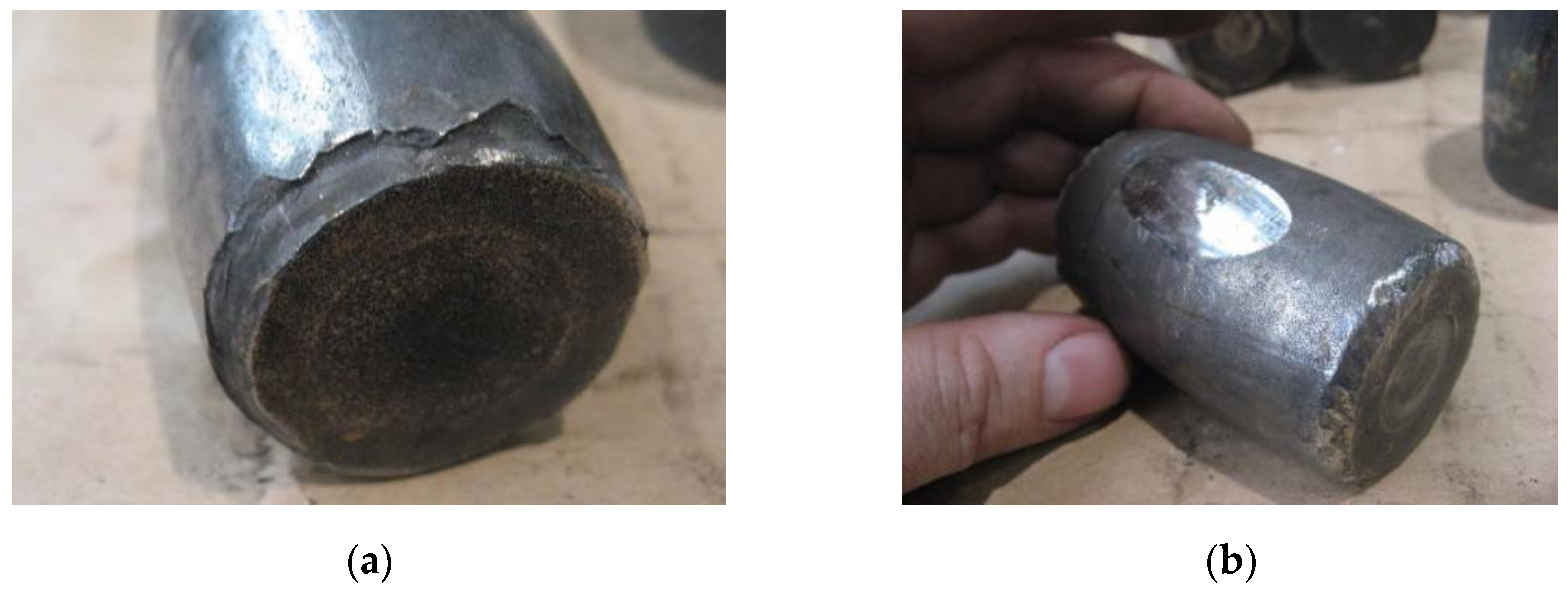 Preprints 141743 g010