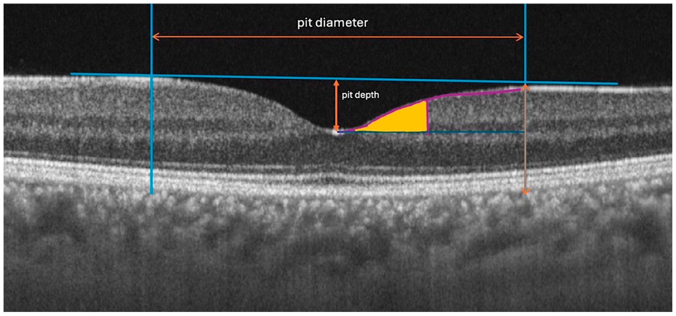 Preprints 195040 g001