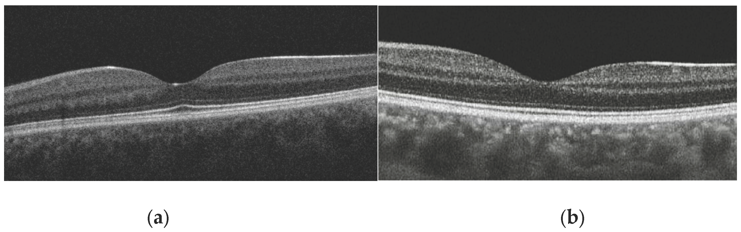 Preprints 195040 g002