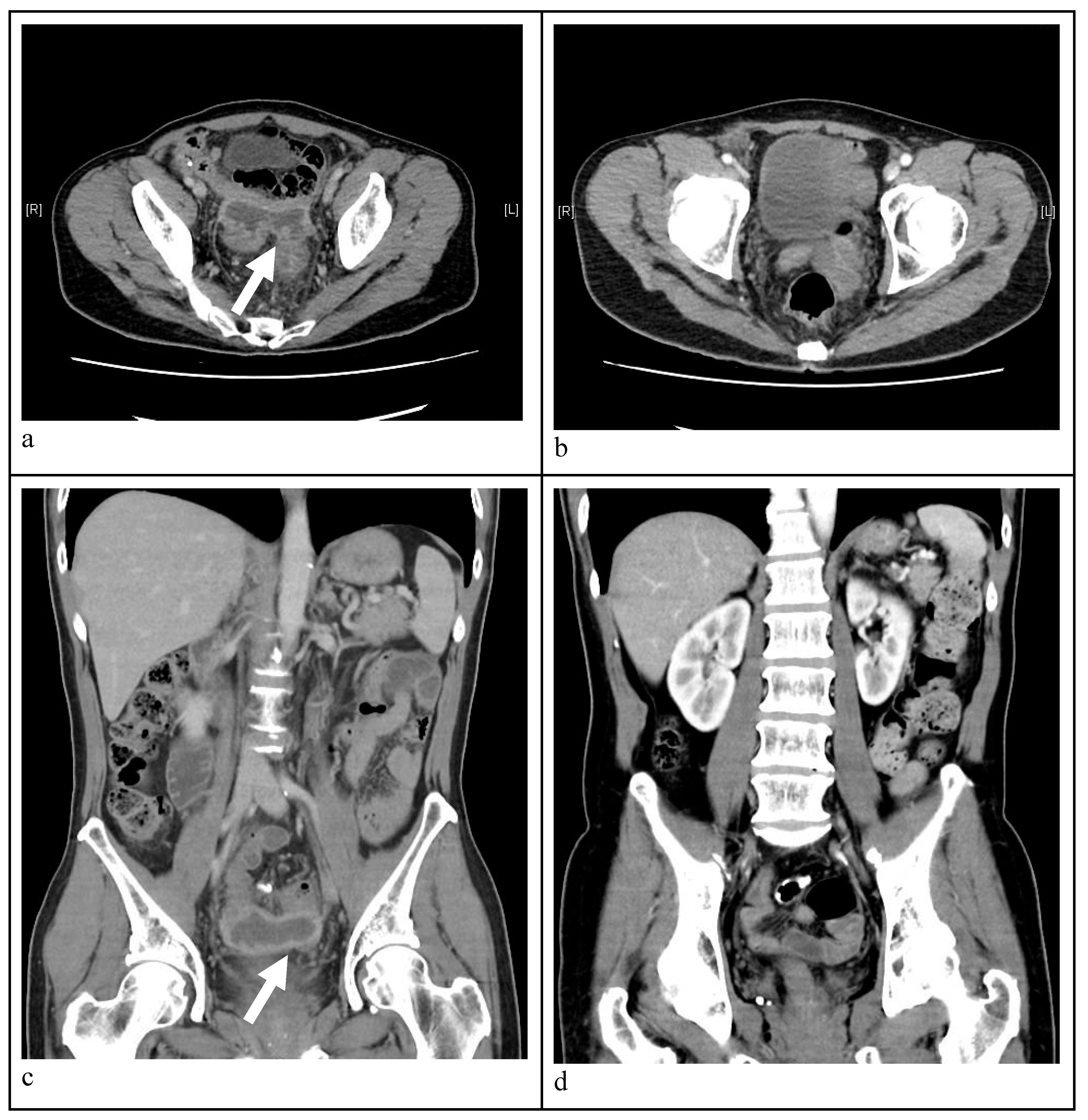 Preprints 152543 g001