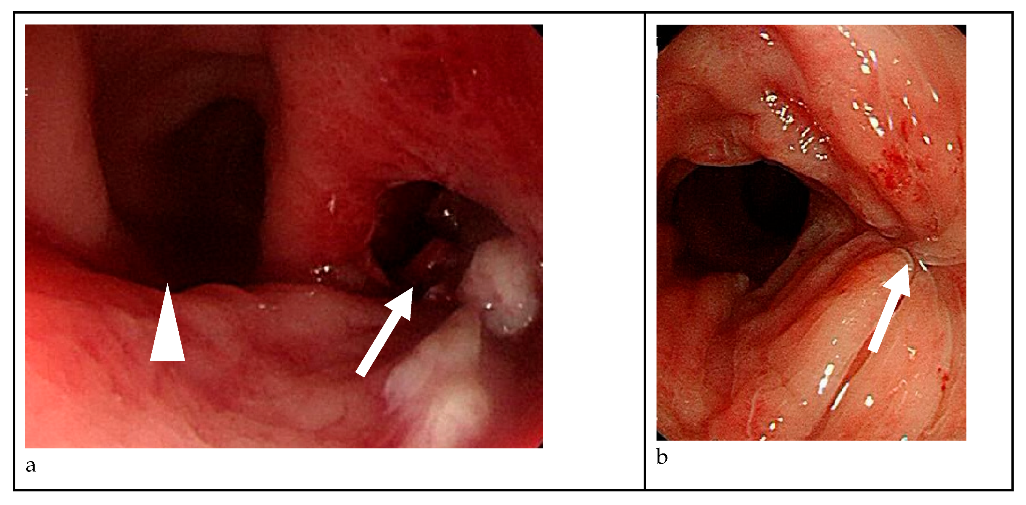Preprints 152543 g002