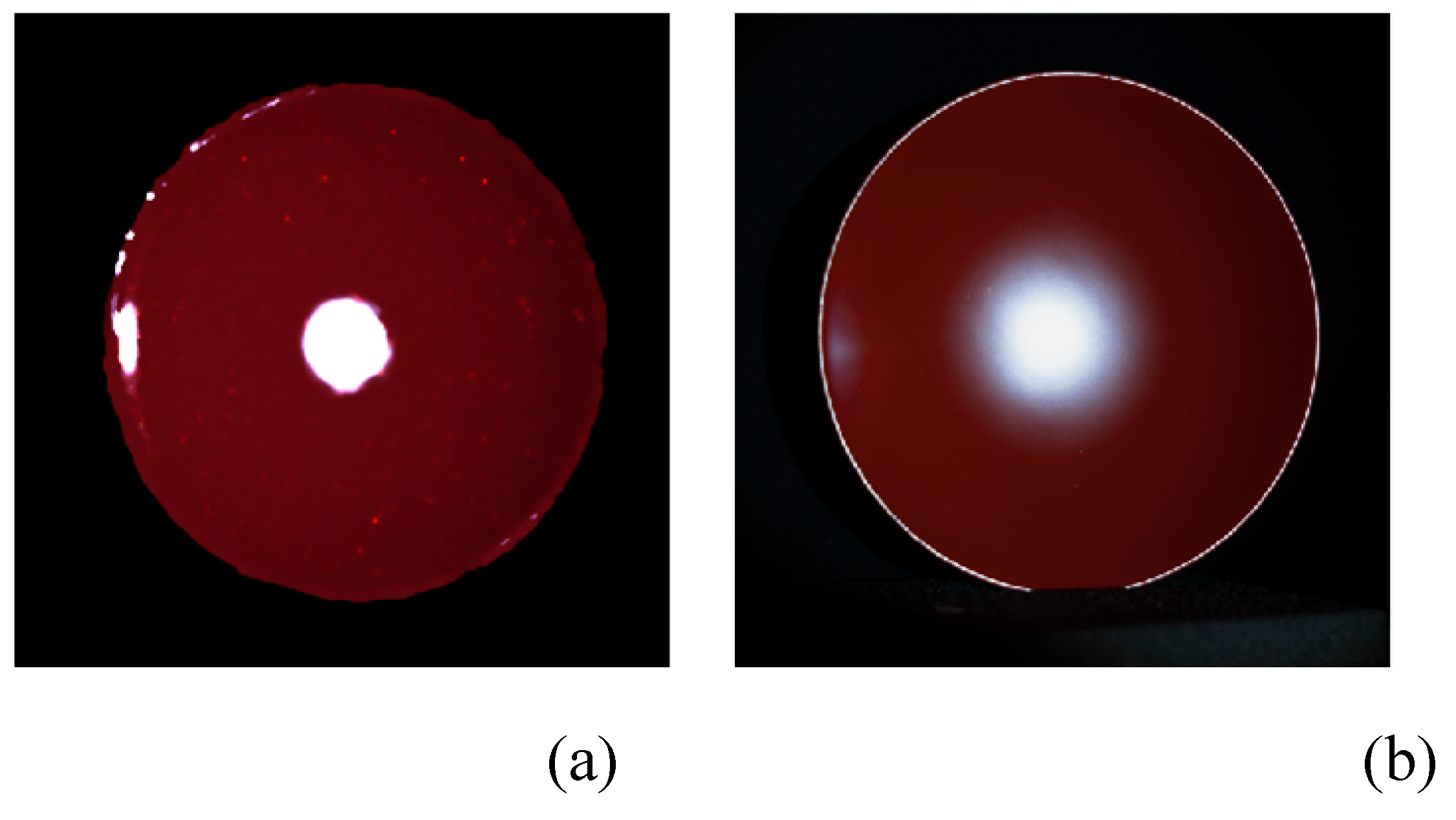 Preprints 170613 g017