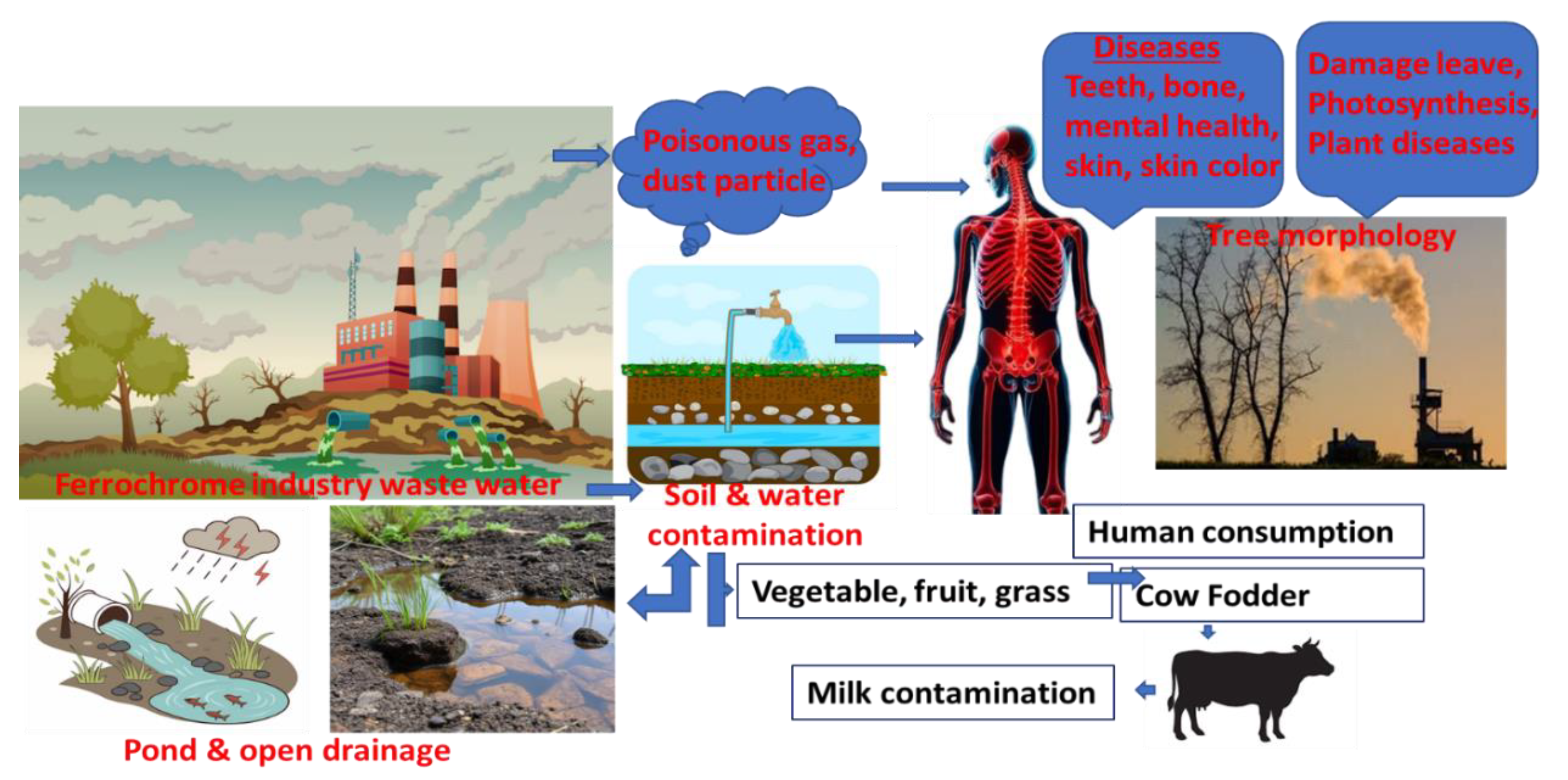 Preprints 153417 g001