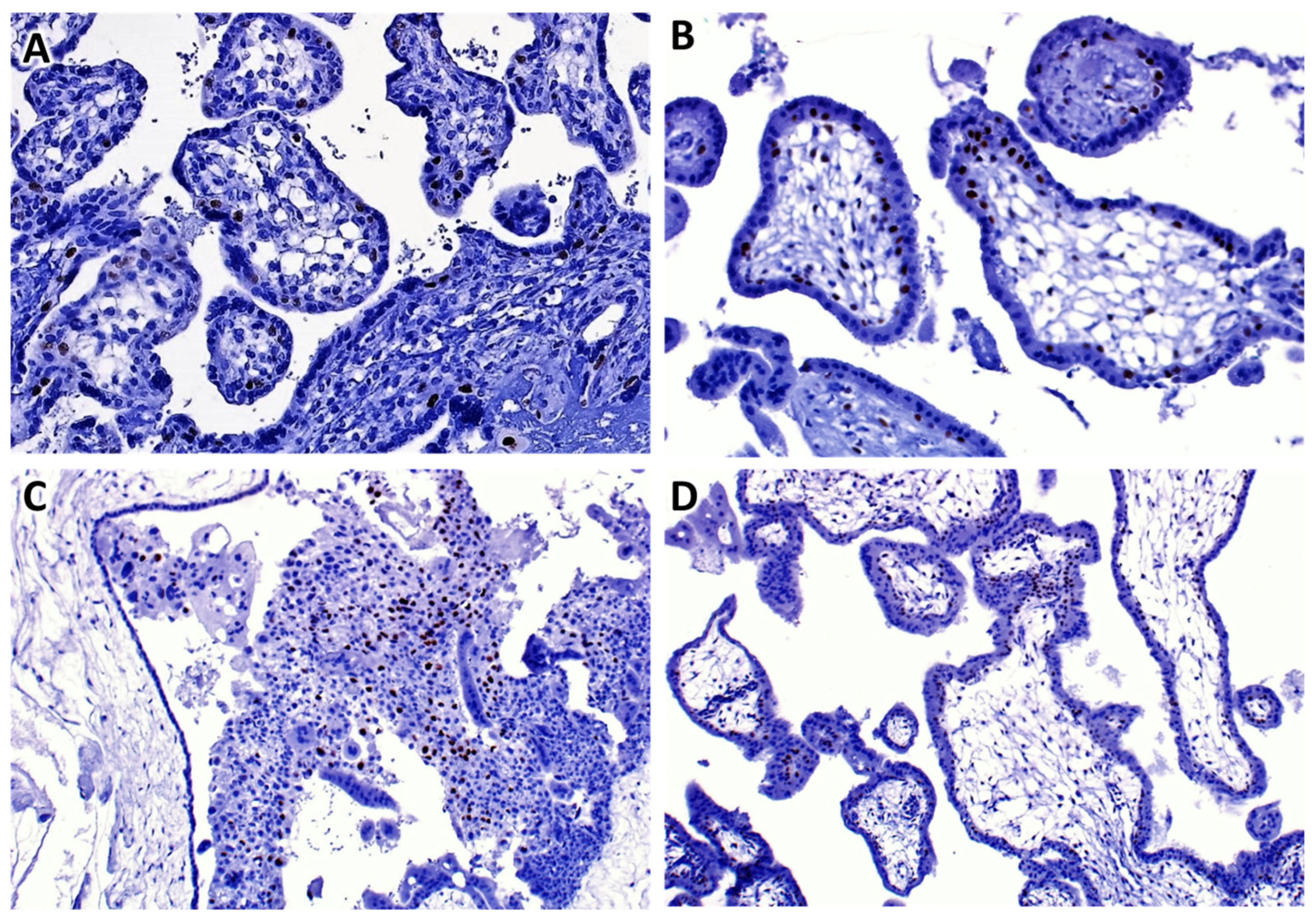 Preprints 84765 g002