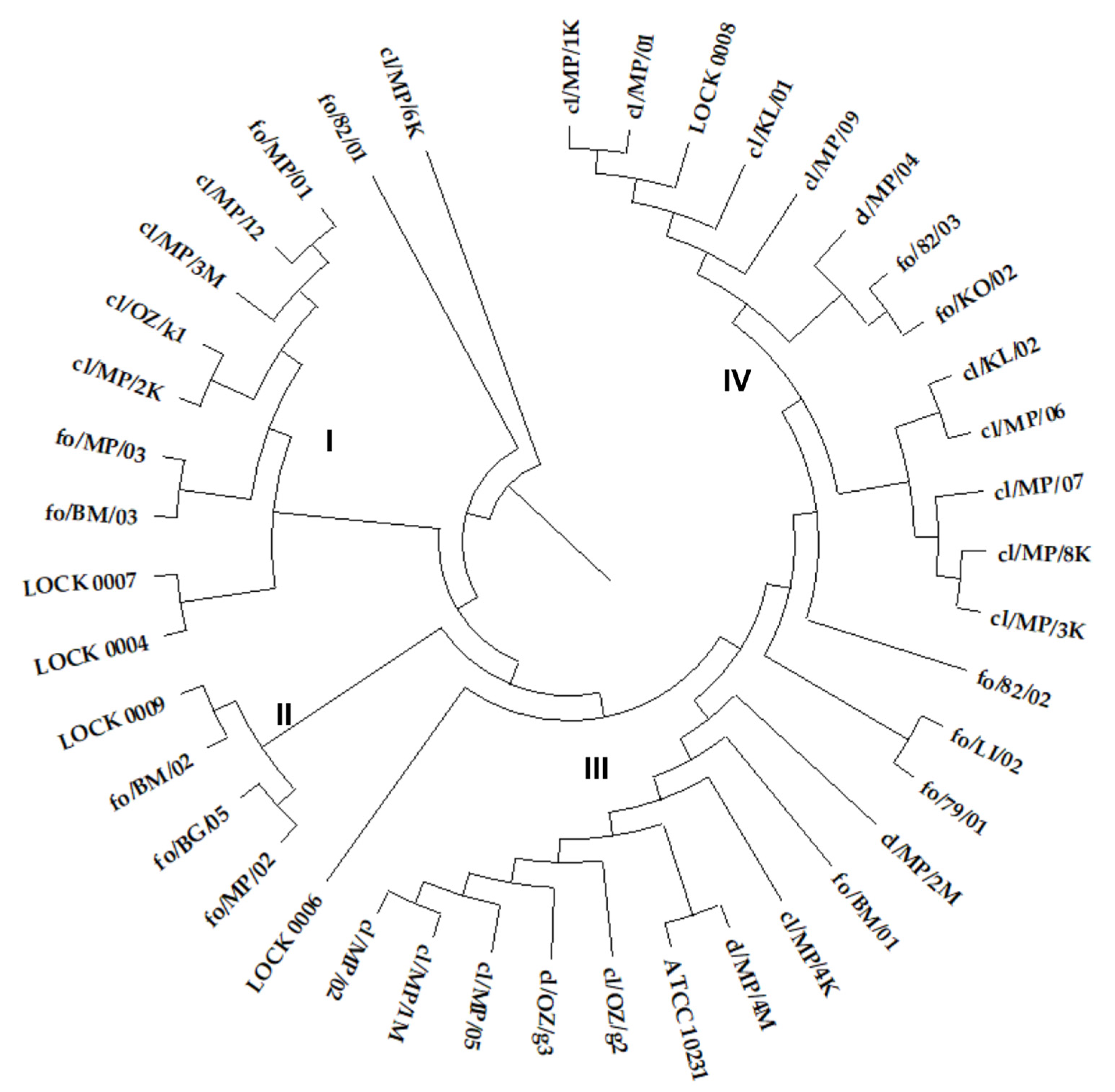 Preprints 161193 g001