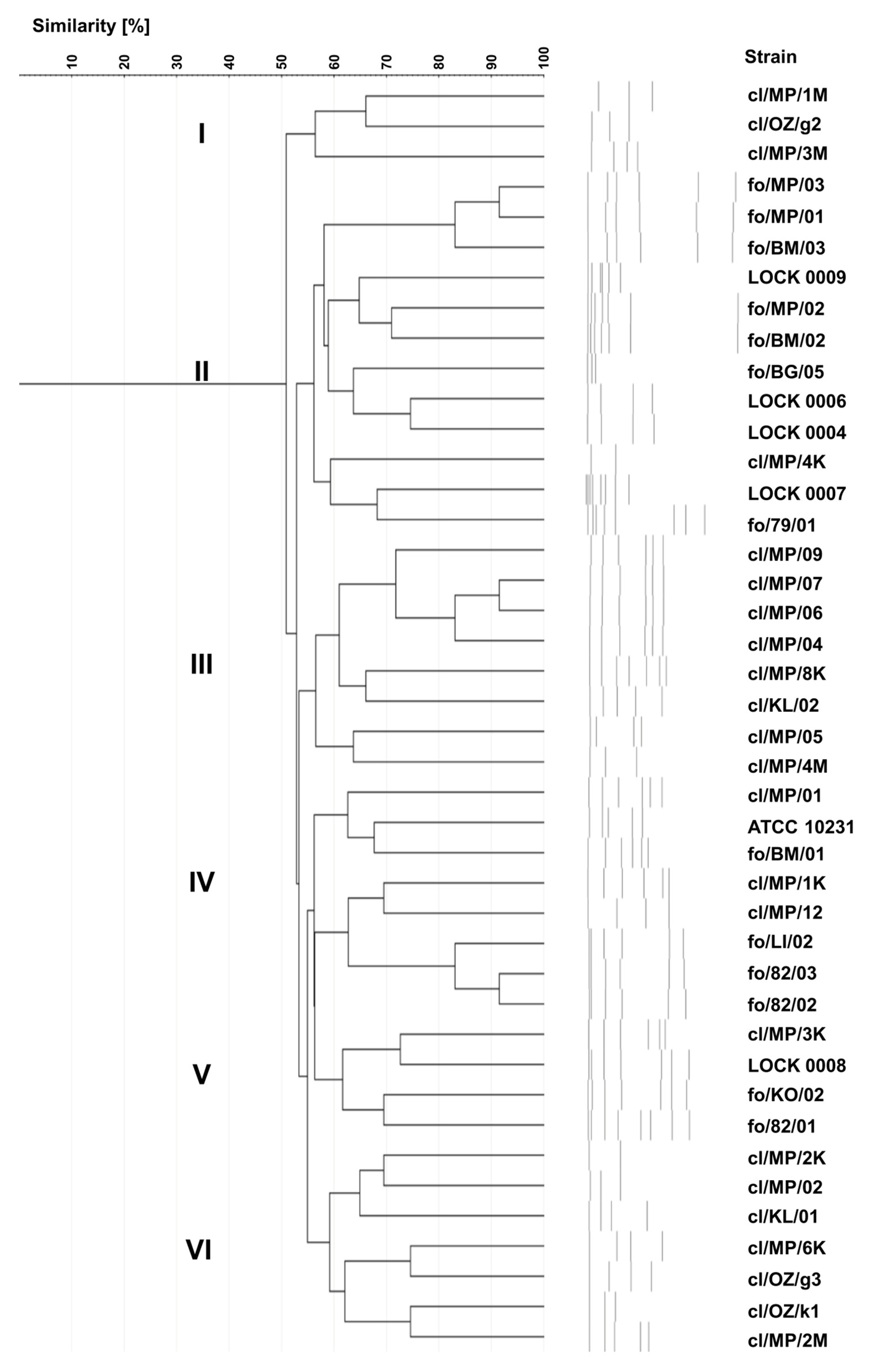 Preprints 161193 g004
