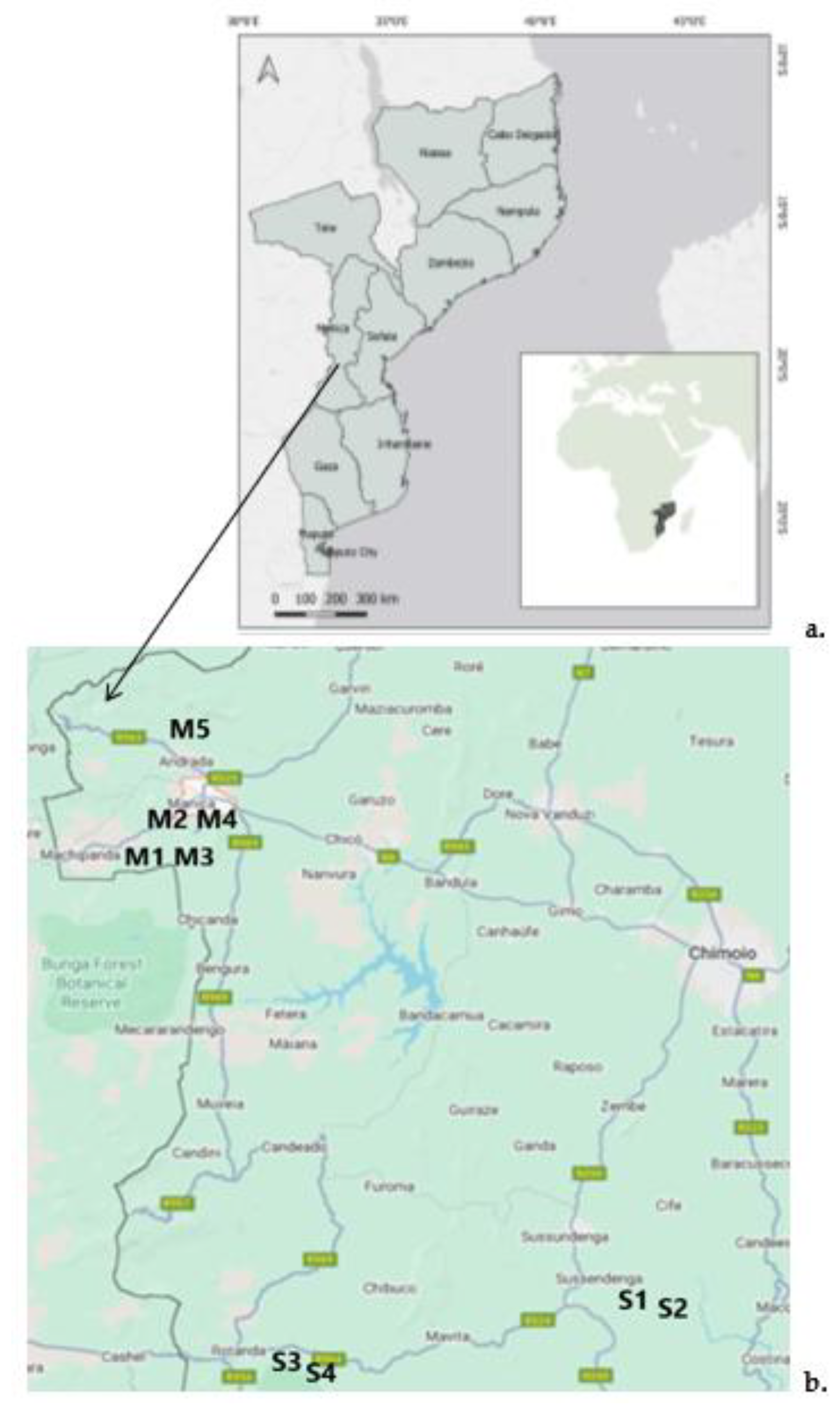 Preprints 164595 g001