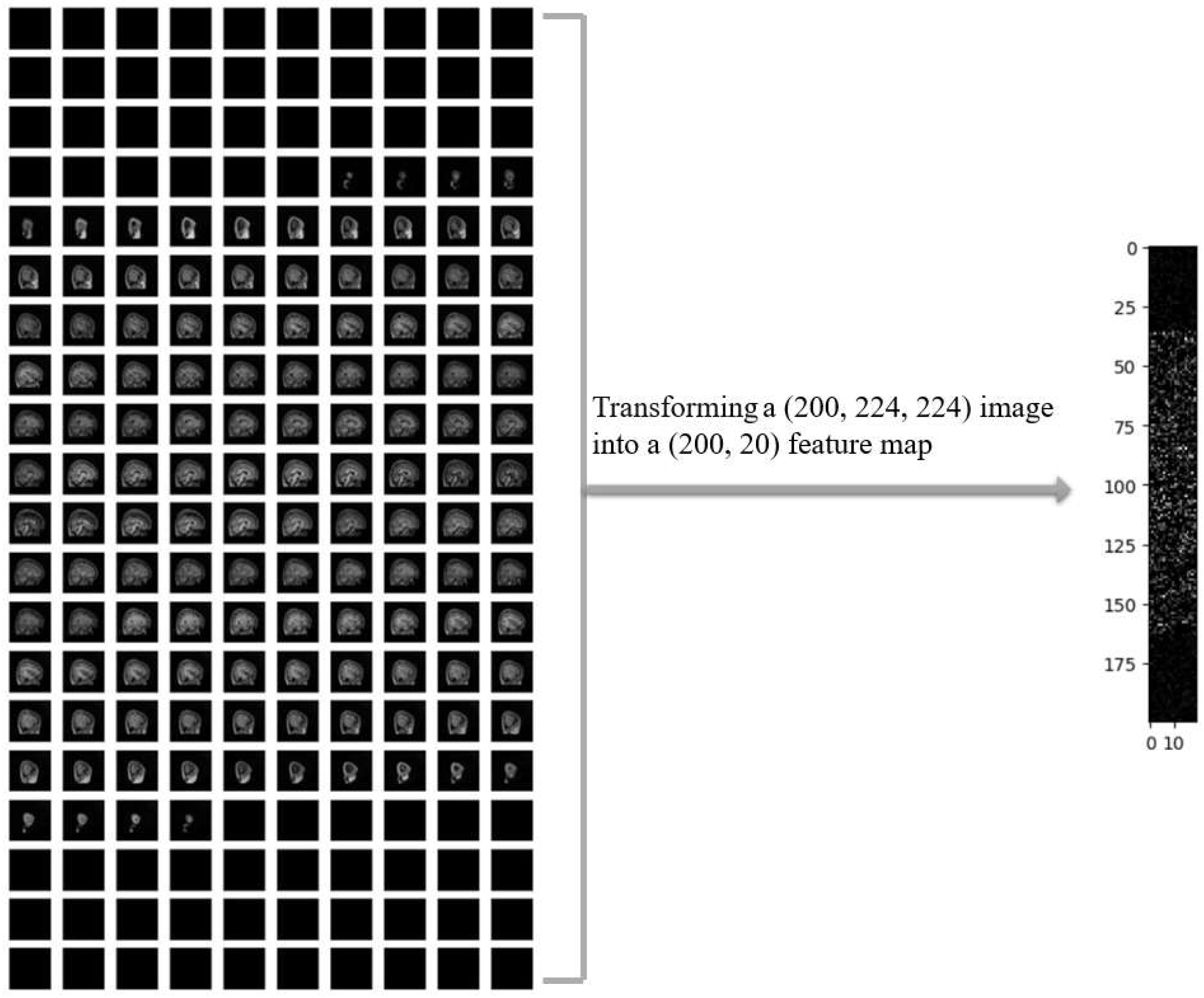Preprints 148585 g004