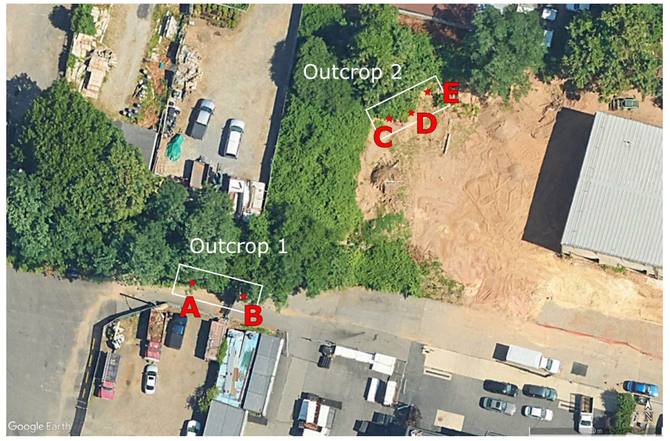 Preprints 201086 g002