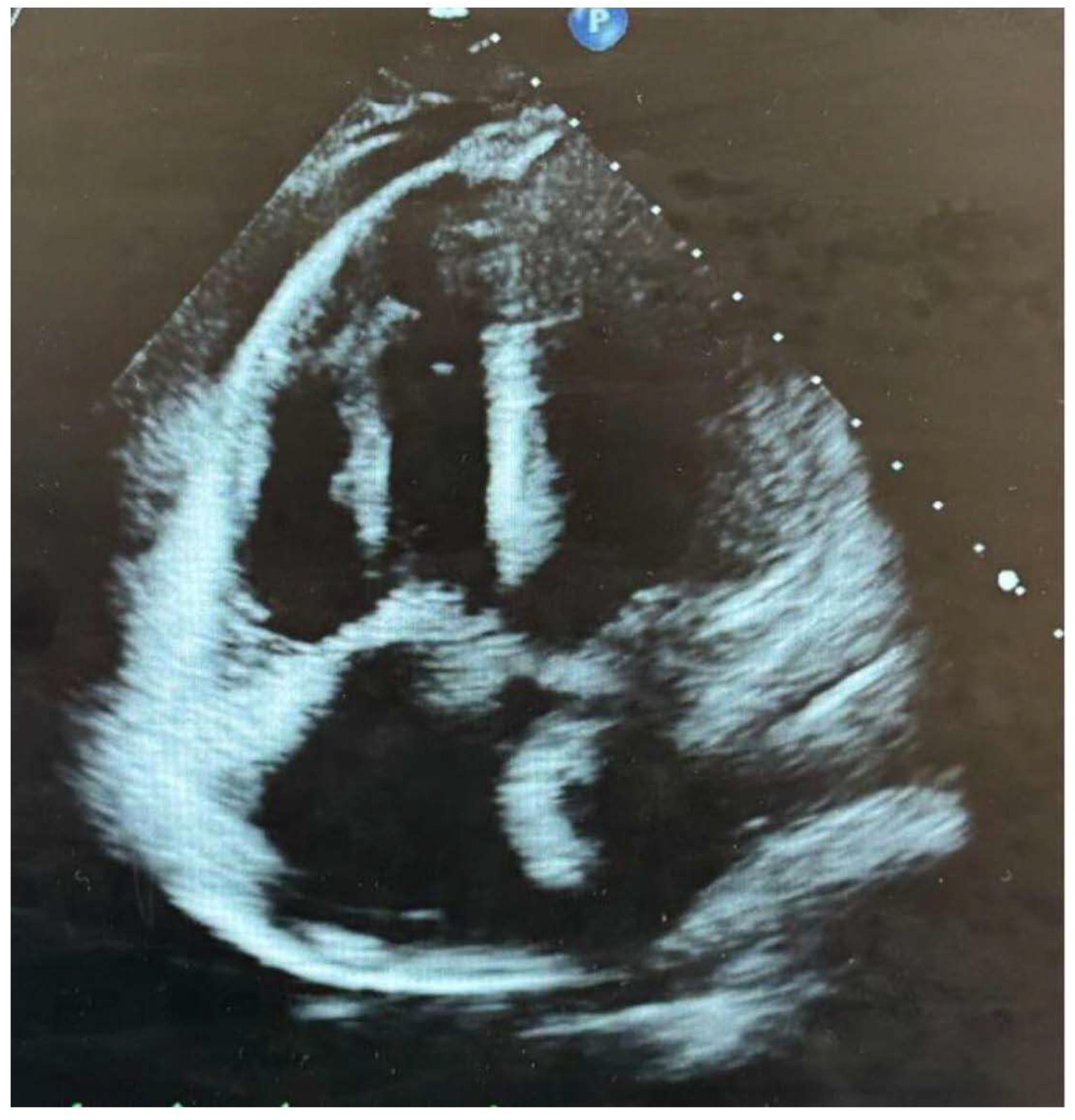 Preprints 119571 g002