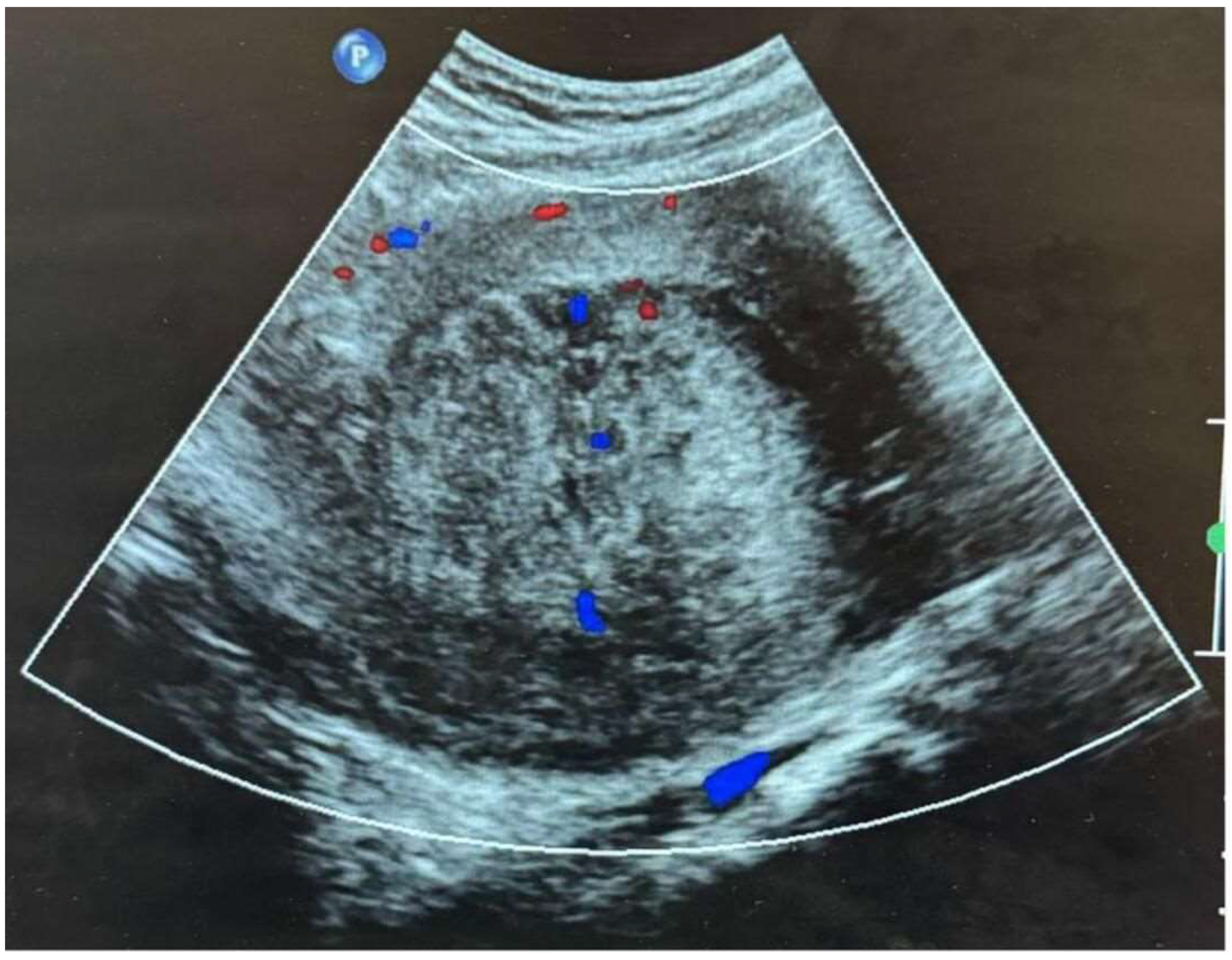 Preprints 119571 g004
