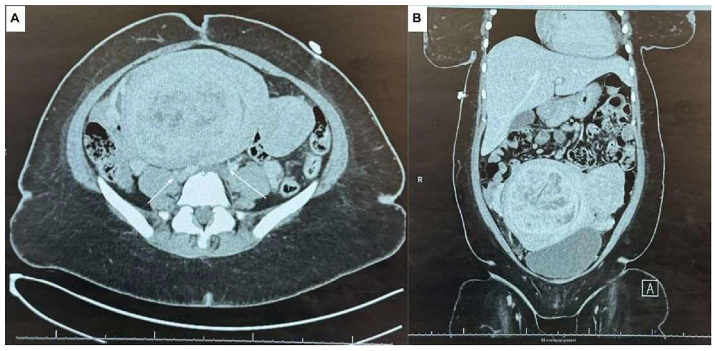 Preprints 119571 g005
