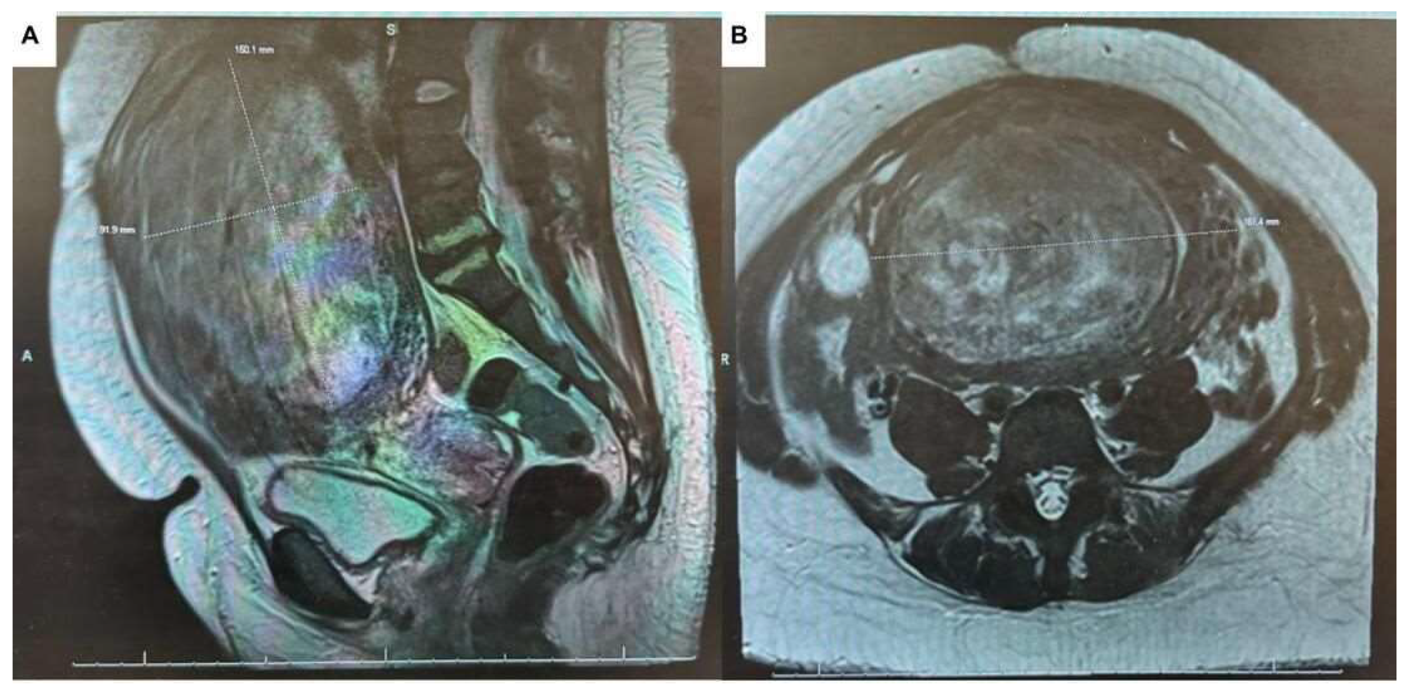 Preprints 119571 g006