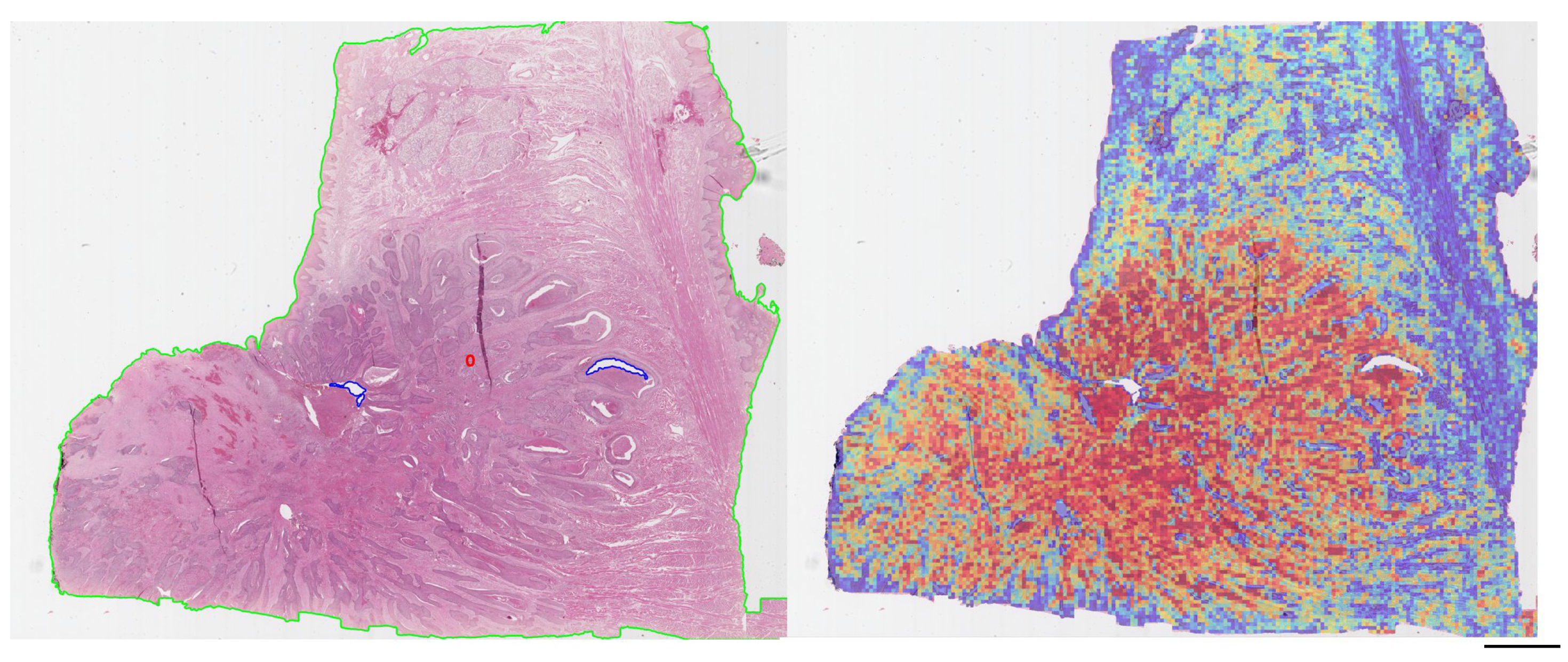 Preprints 184724 g002