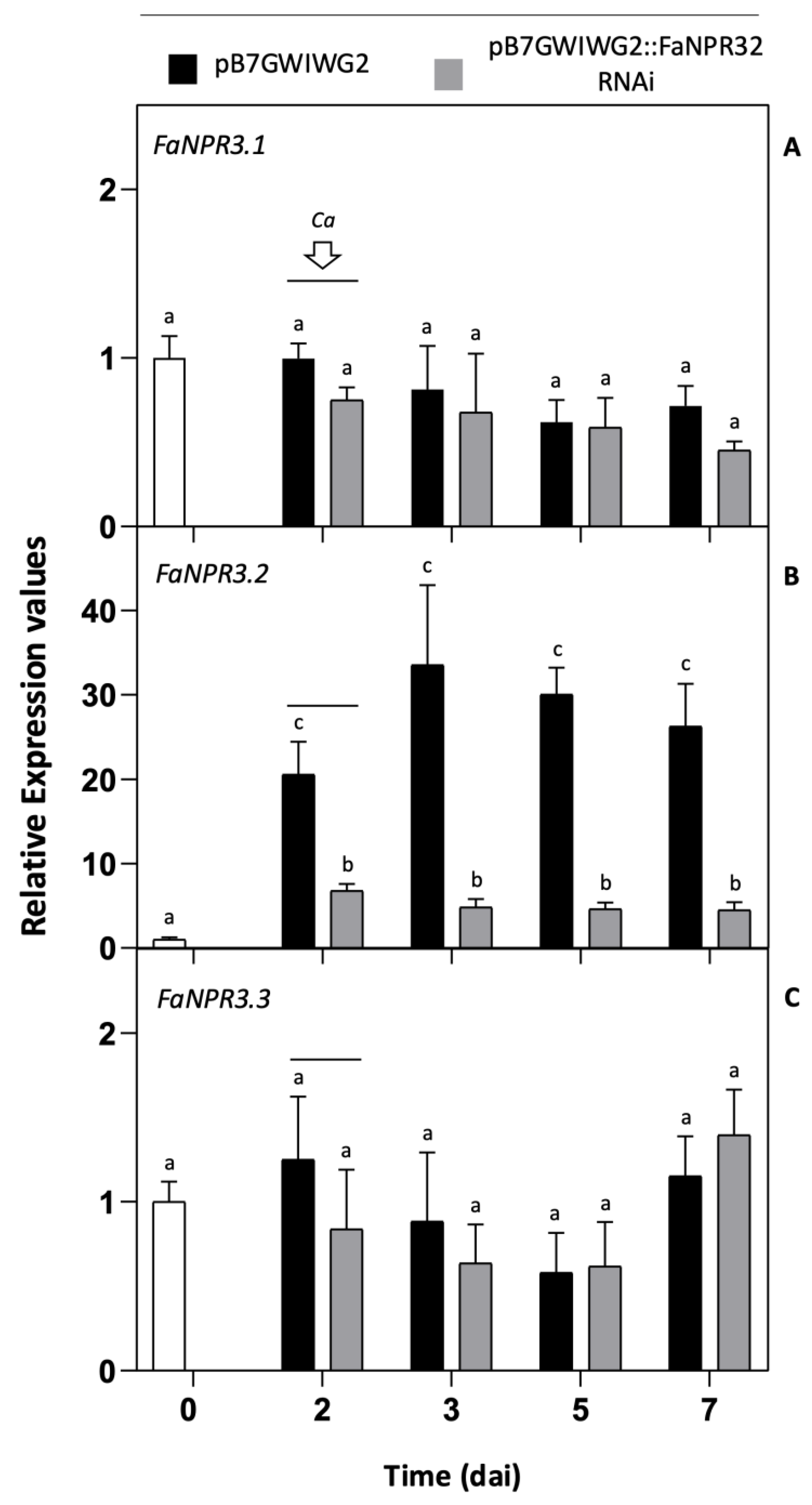 Preprints 113265 g002