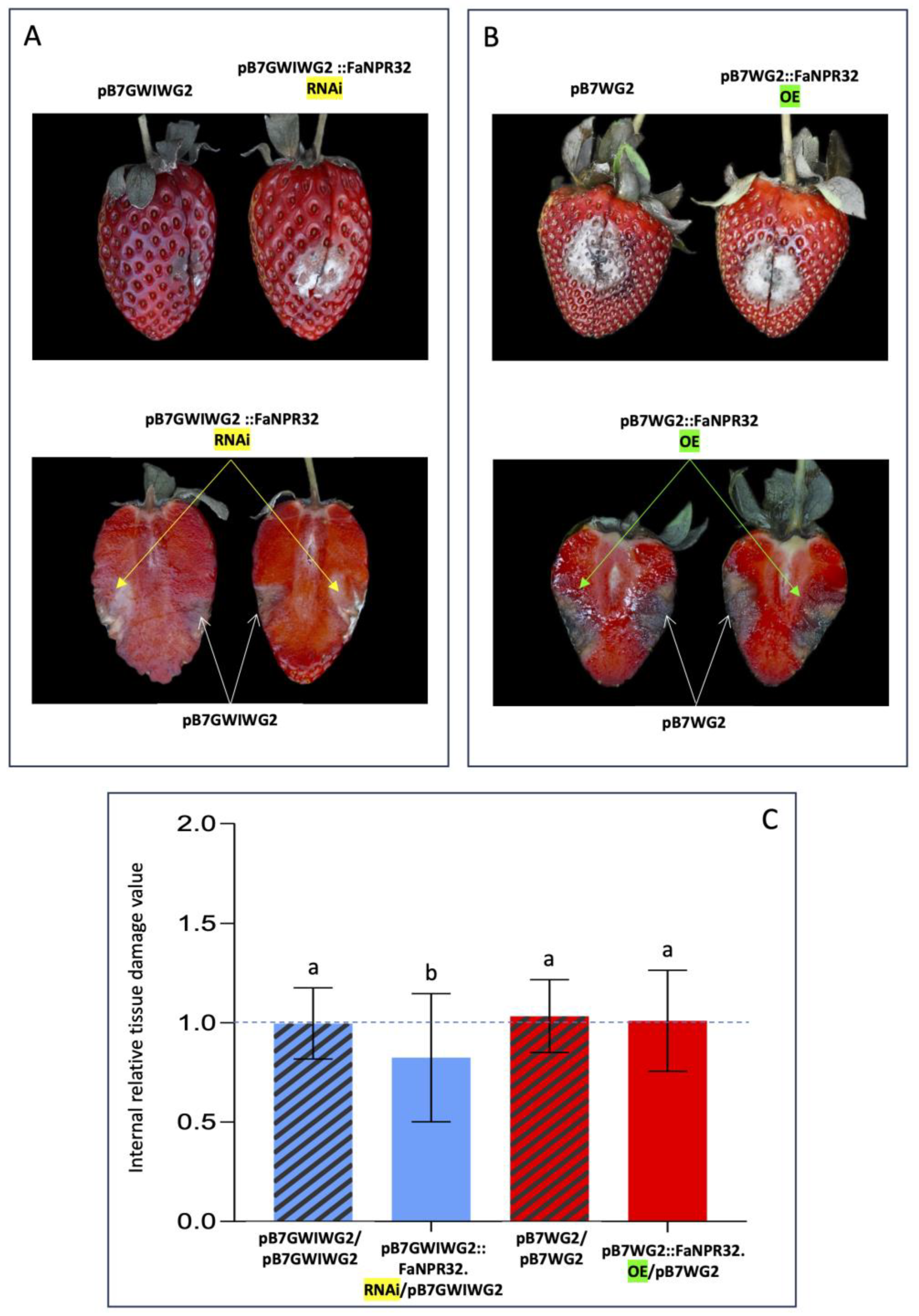 Preprints 113265 g004