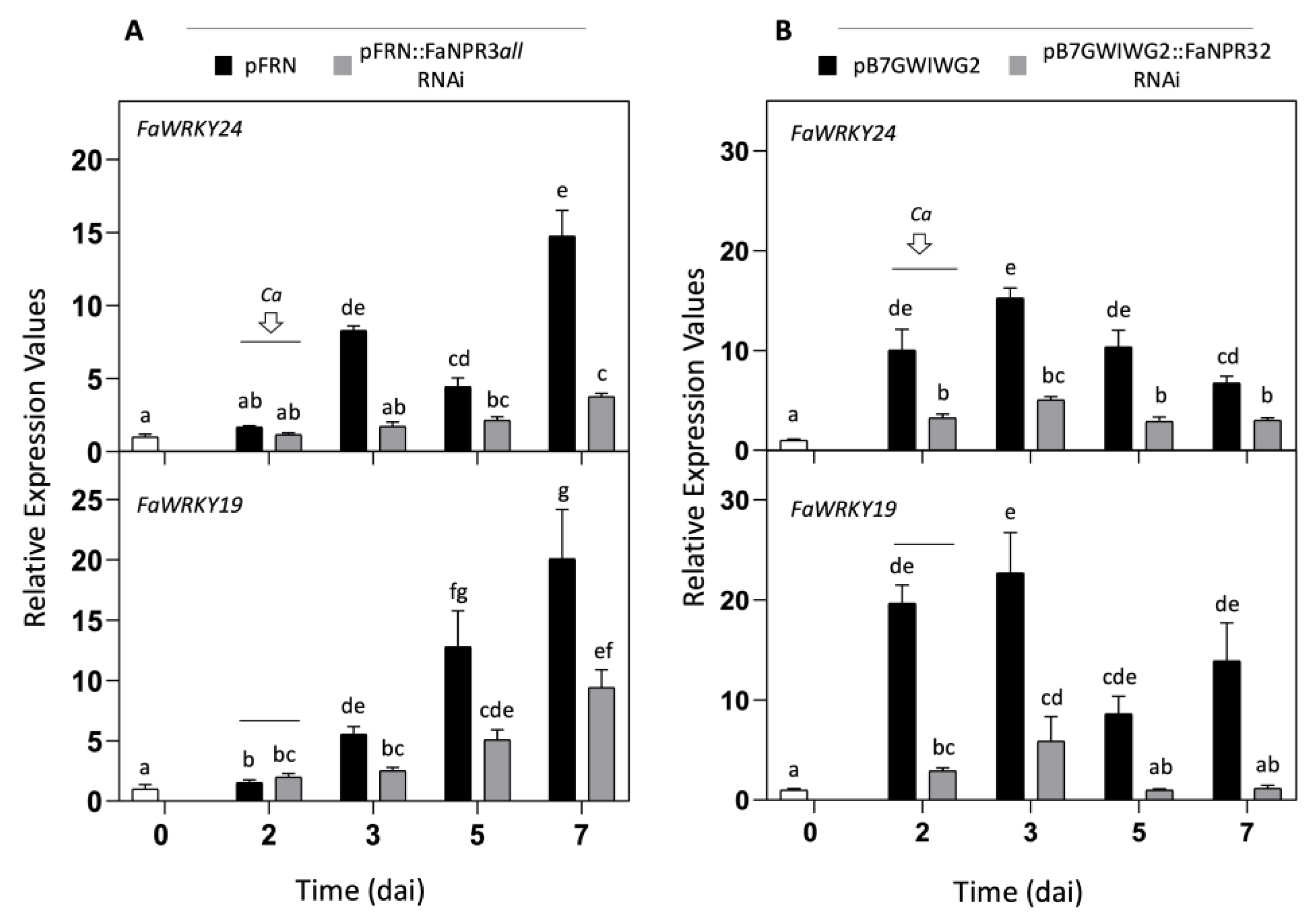 Preprints 113265 g005
