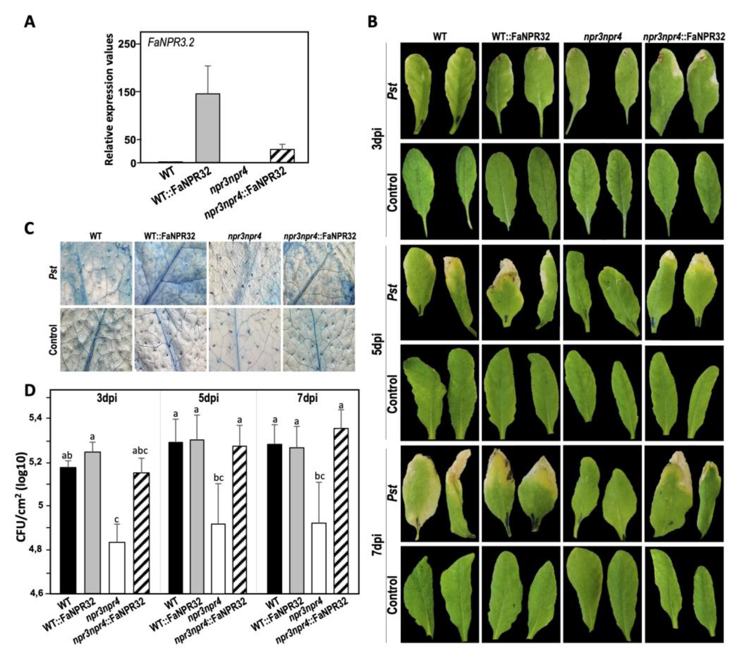 Preprints 113265 g006