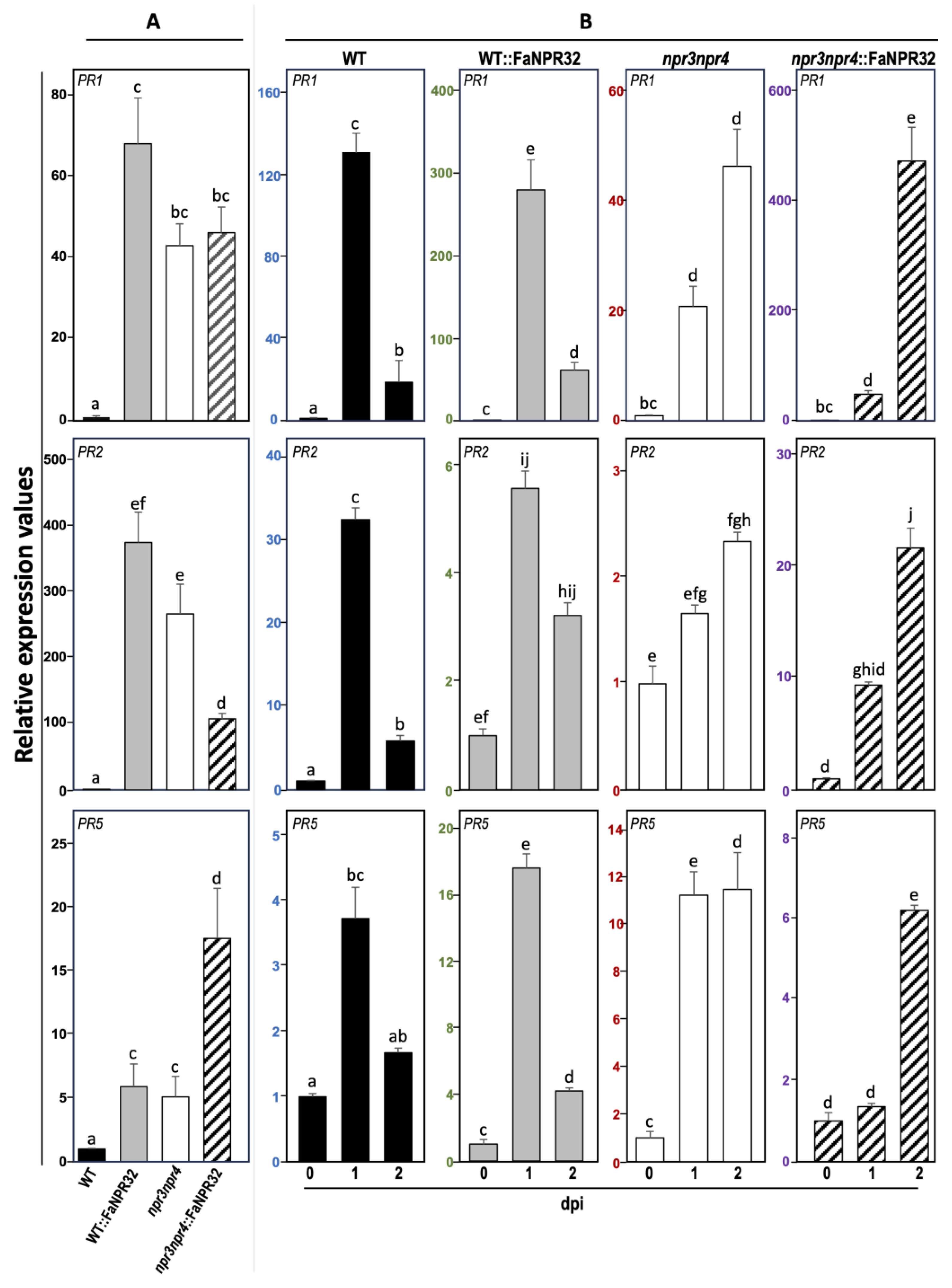 Preprints 113265 g007