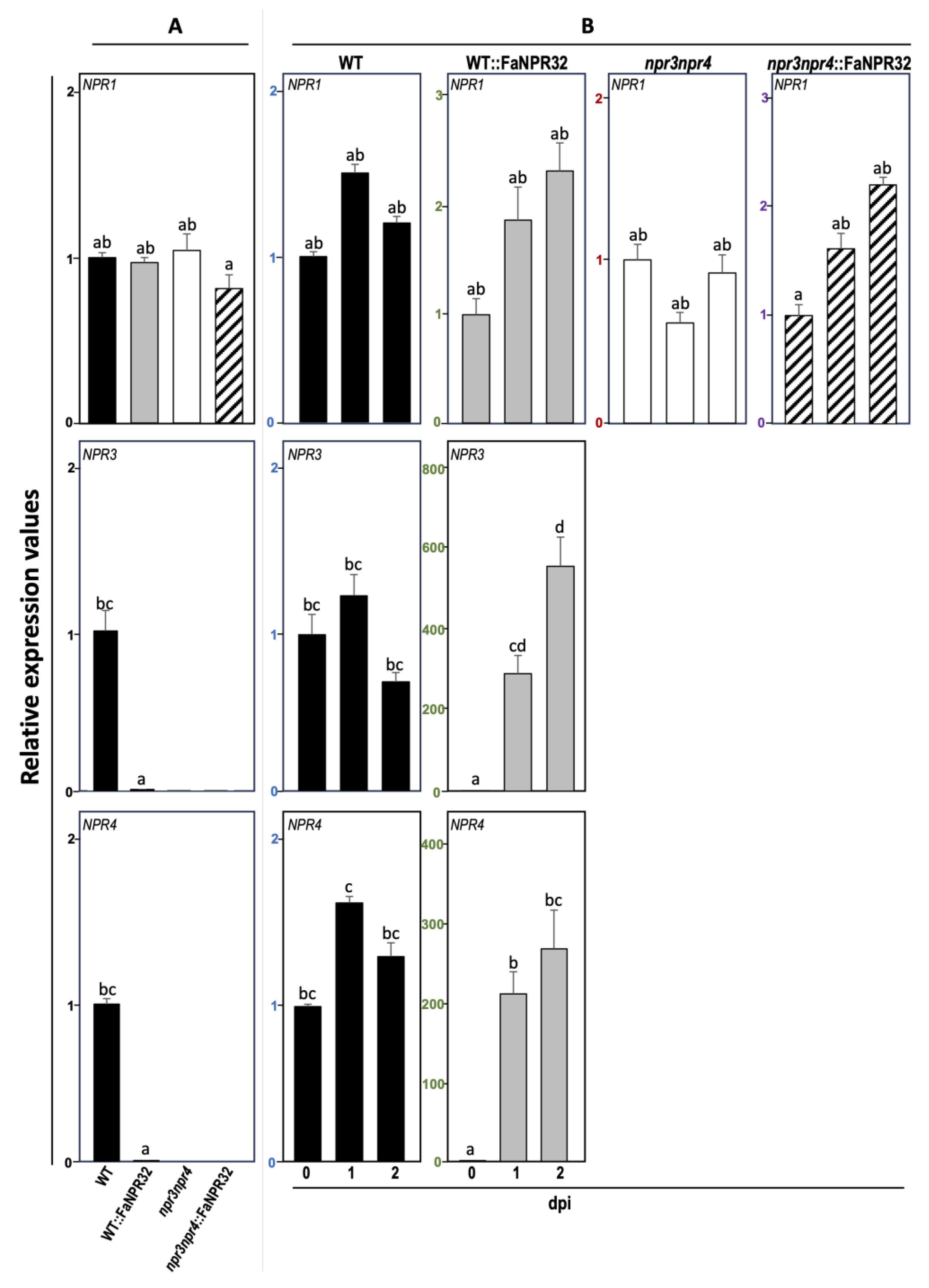 Preprints 113265 g008