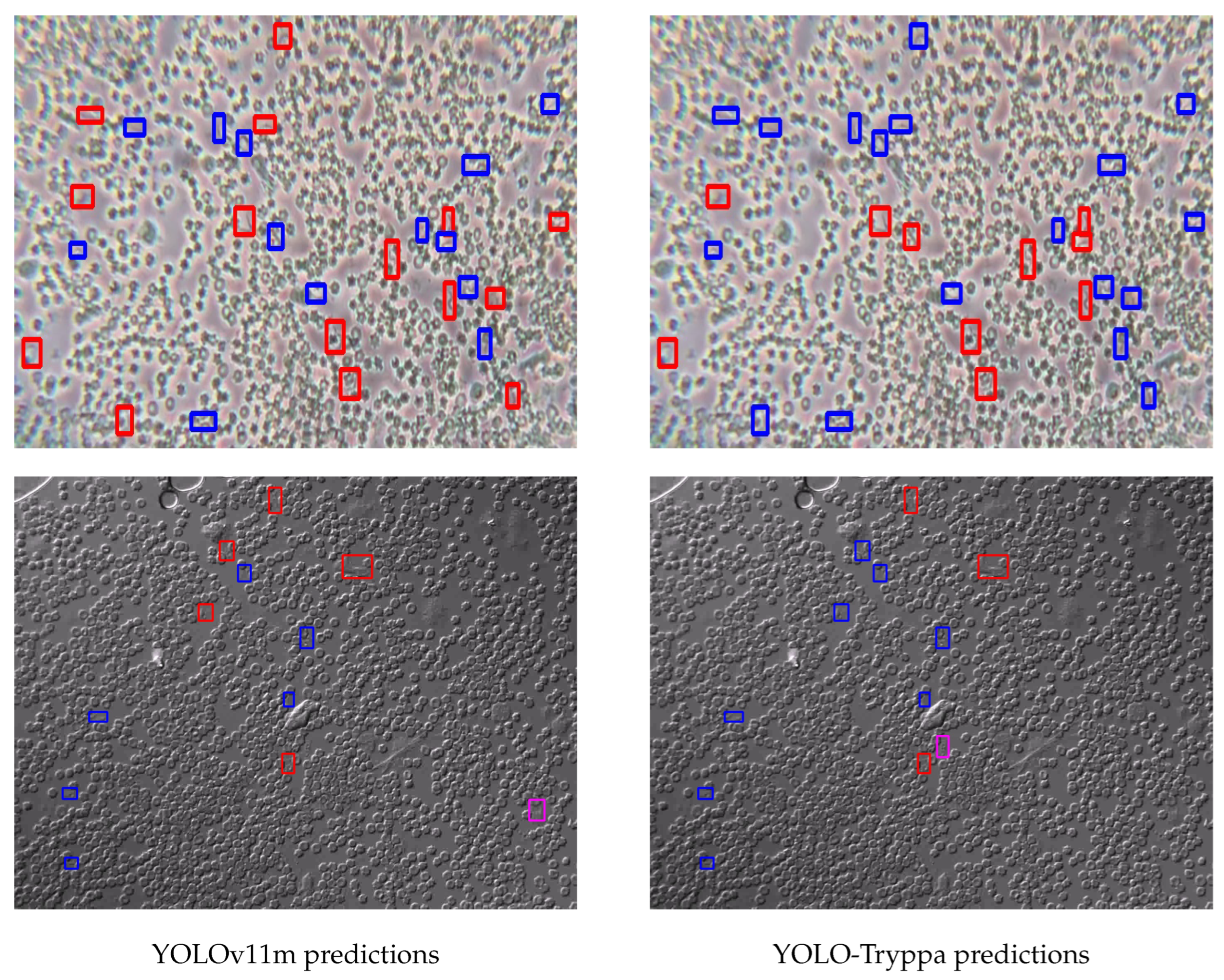 Preprints 152892 g004