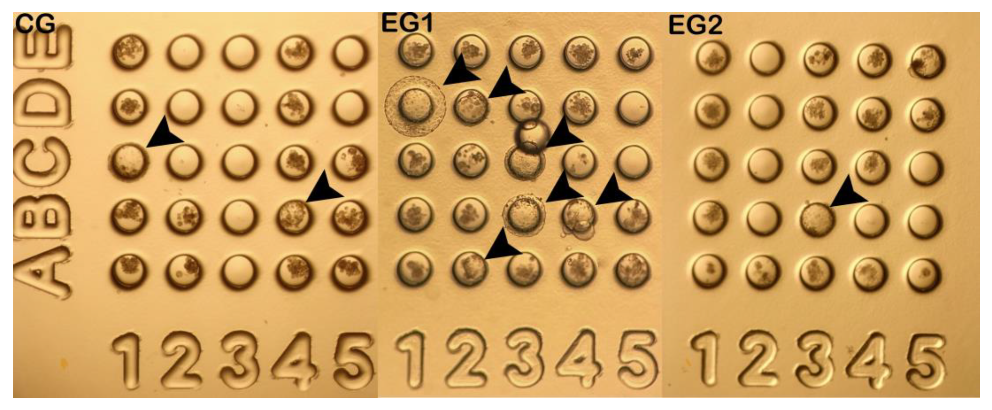 Preprints 173925 g002