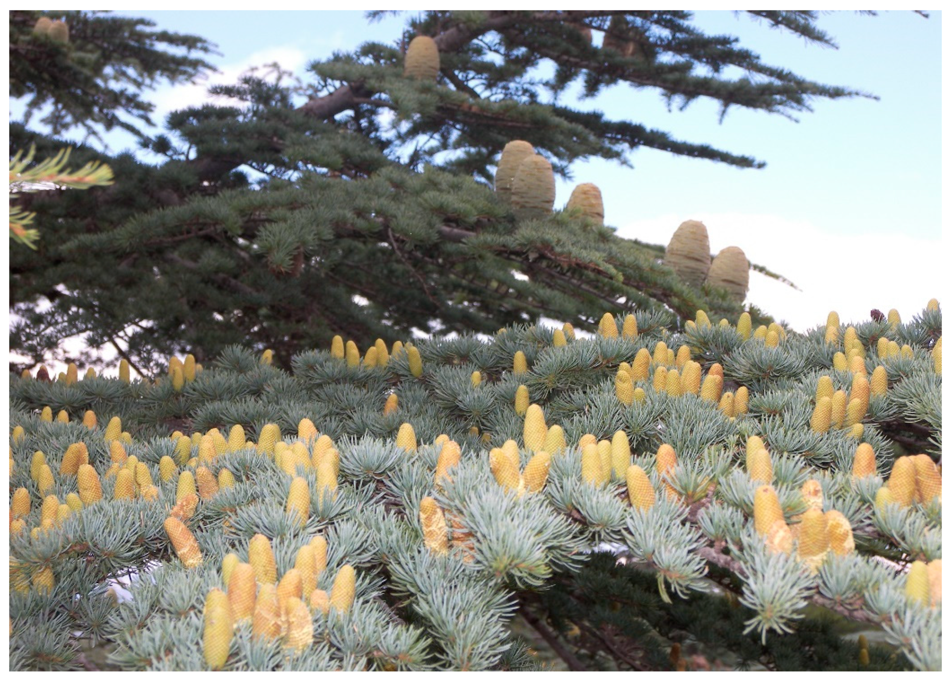 Preprints 141998 g001