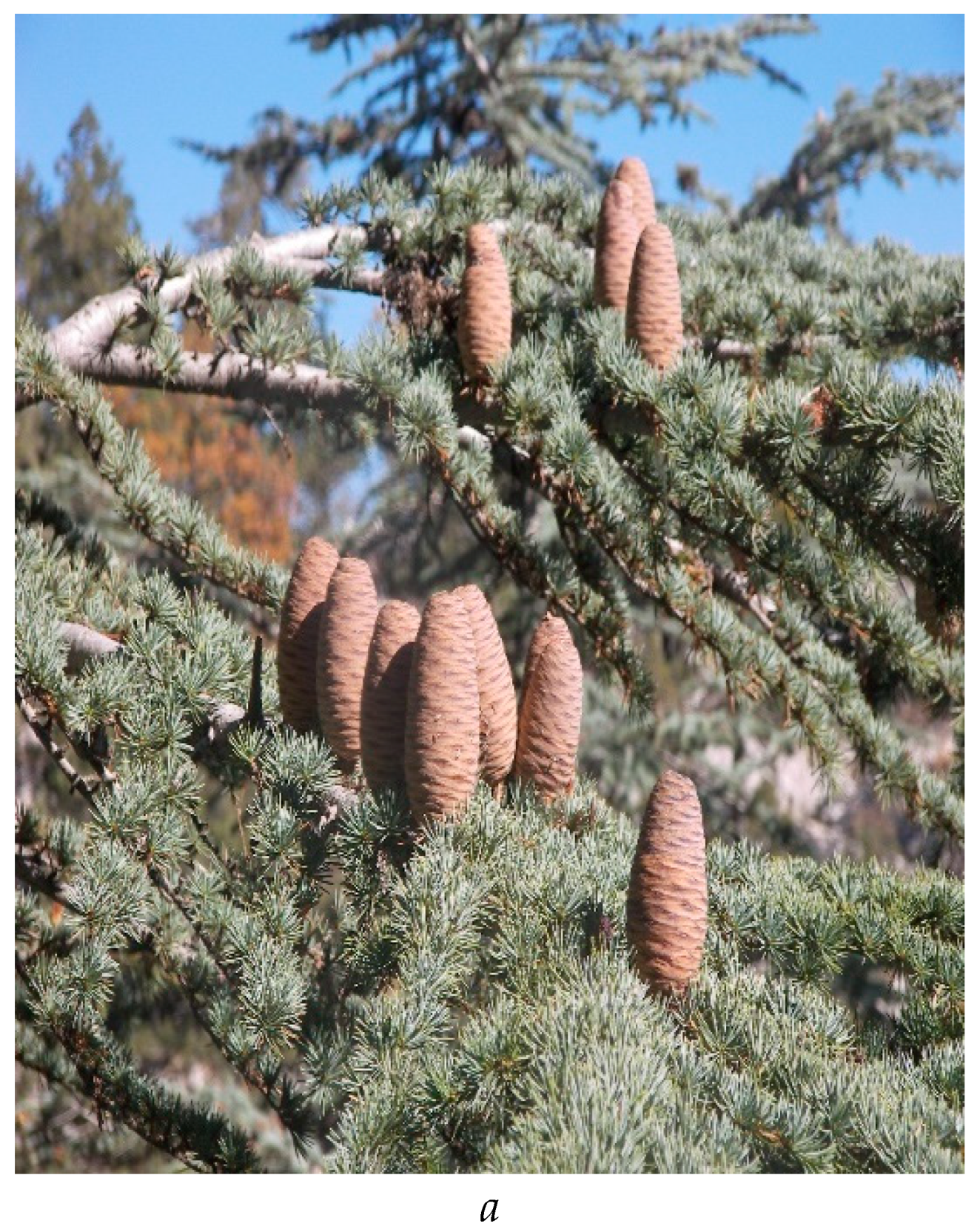 Preprints 141998 g003a