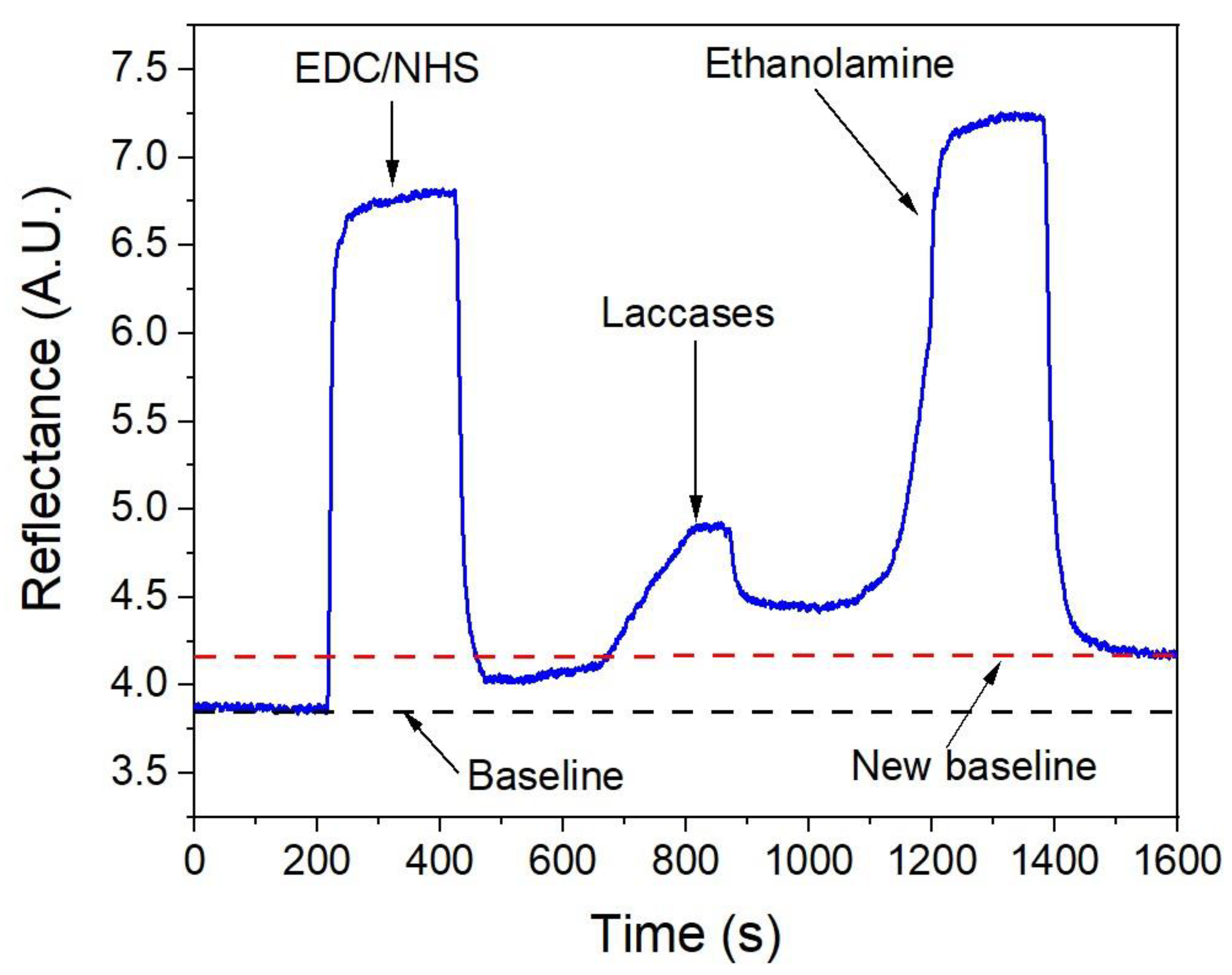 Preprints 121691 g003