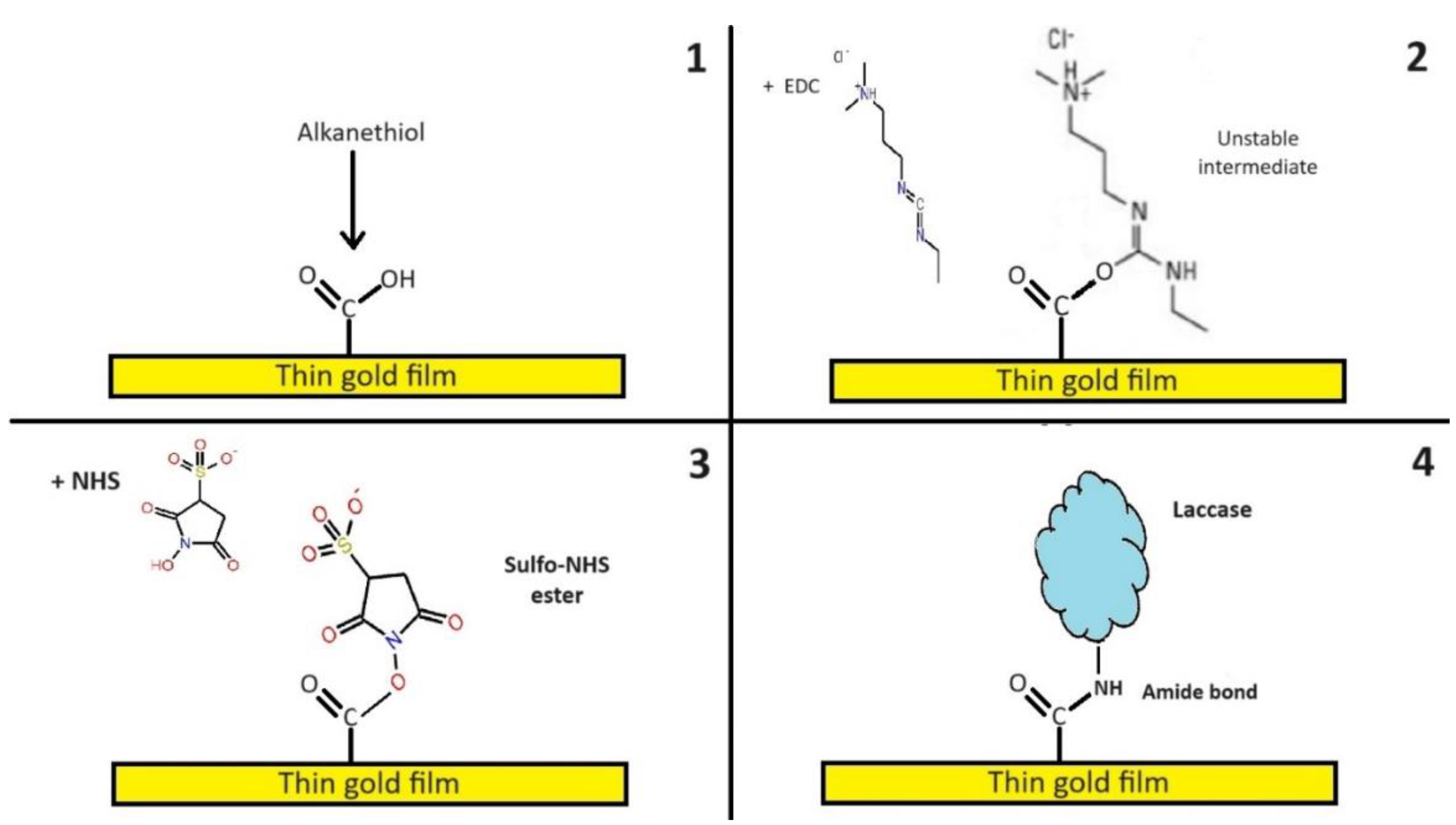 Preprints 121691 g005