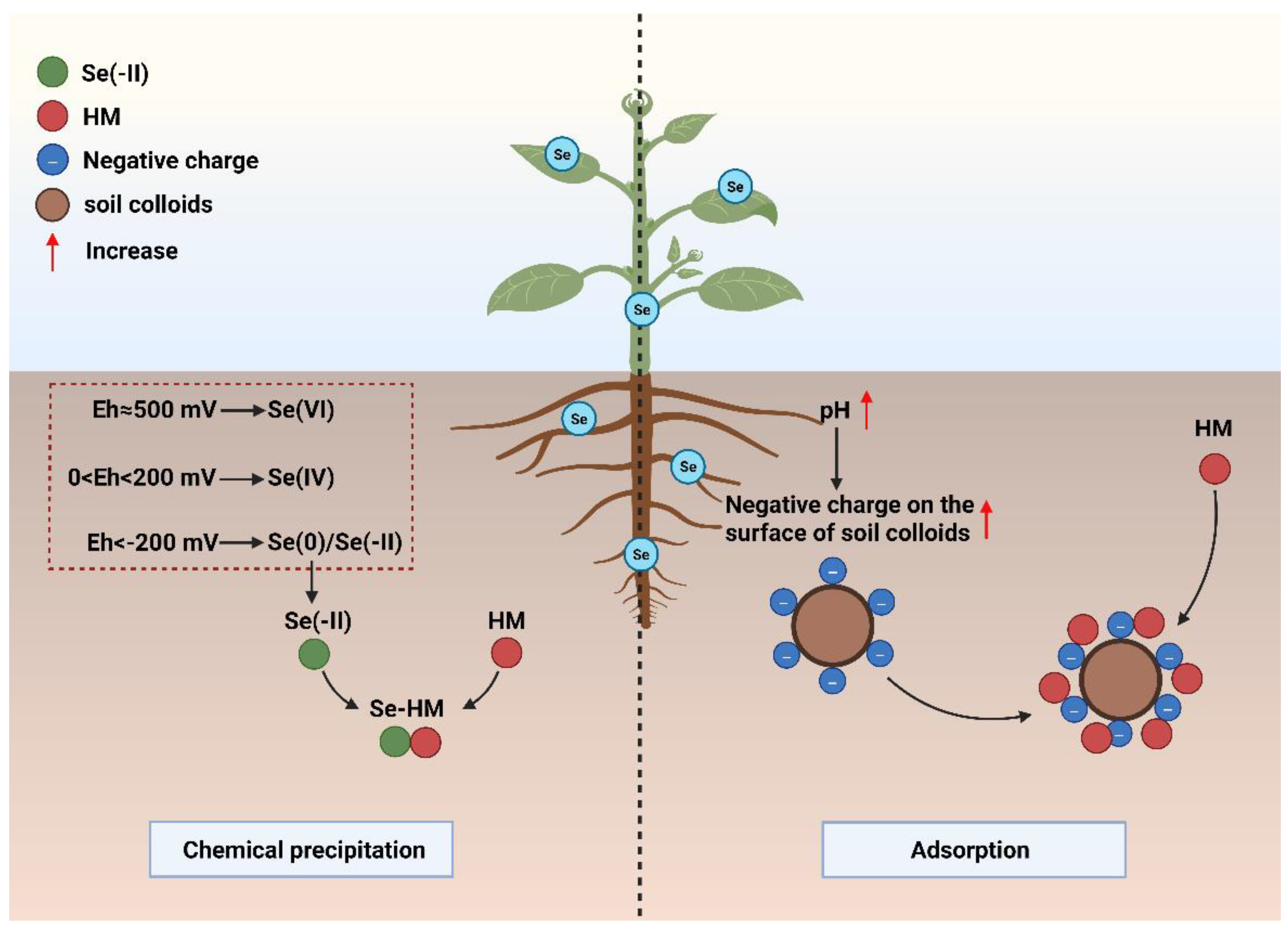 Preprints 193149 g001