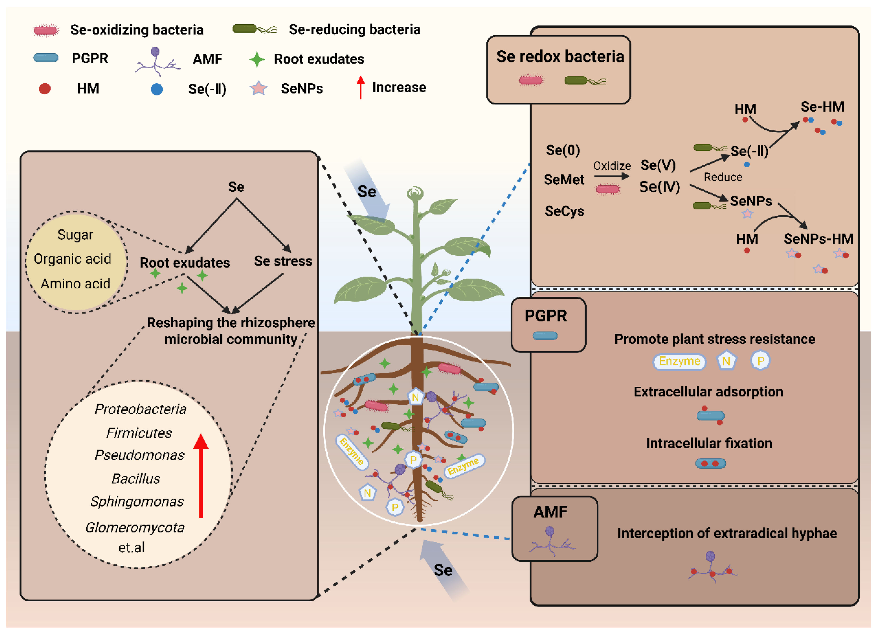 Preprints 193149 g002