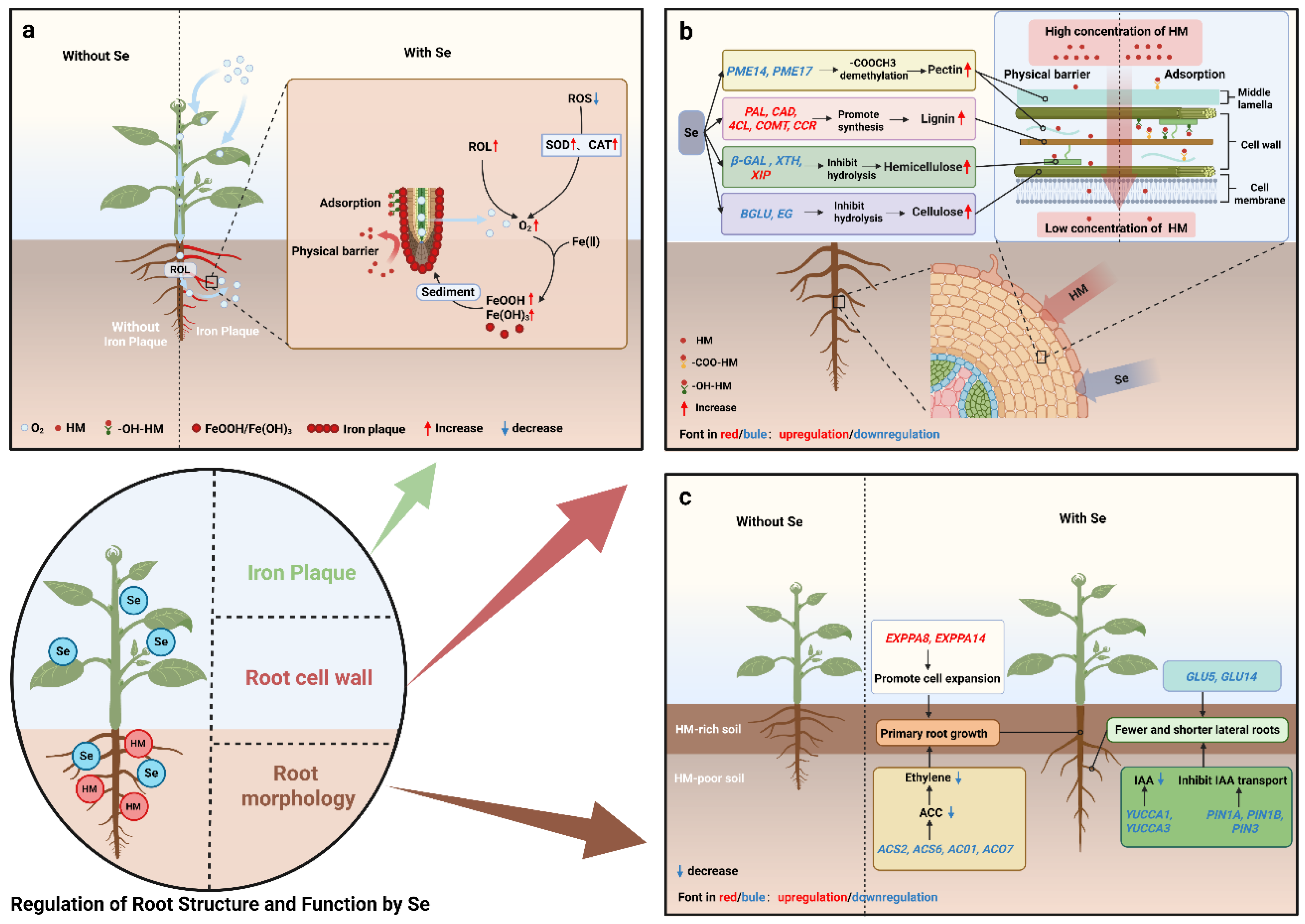 Preprints 193149 g003