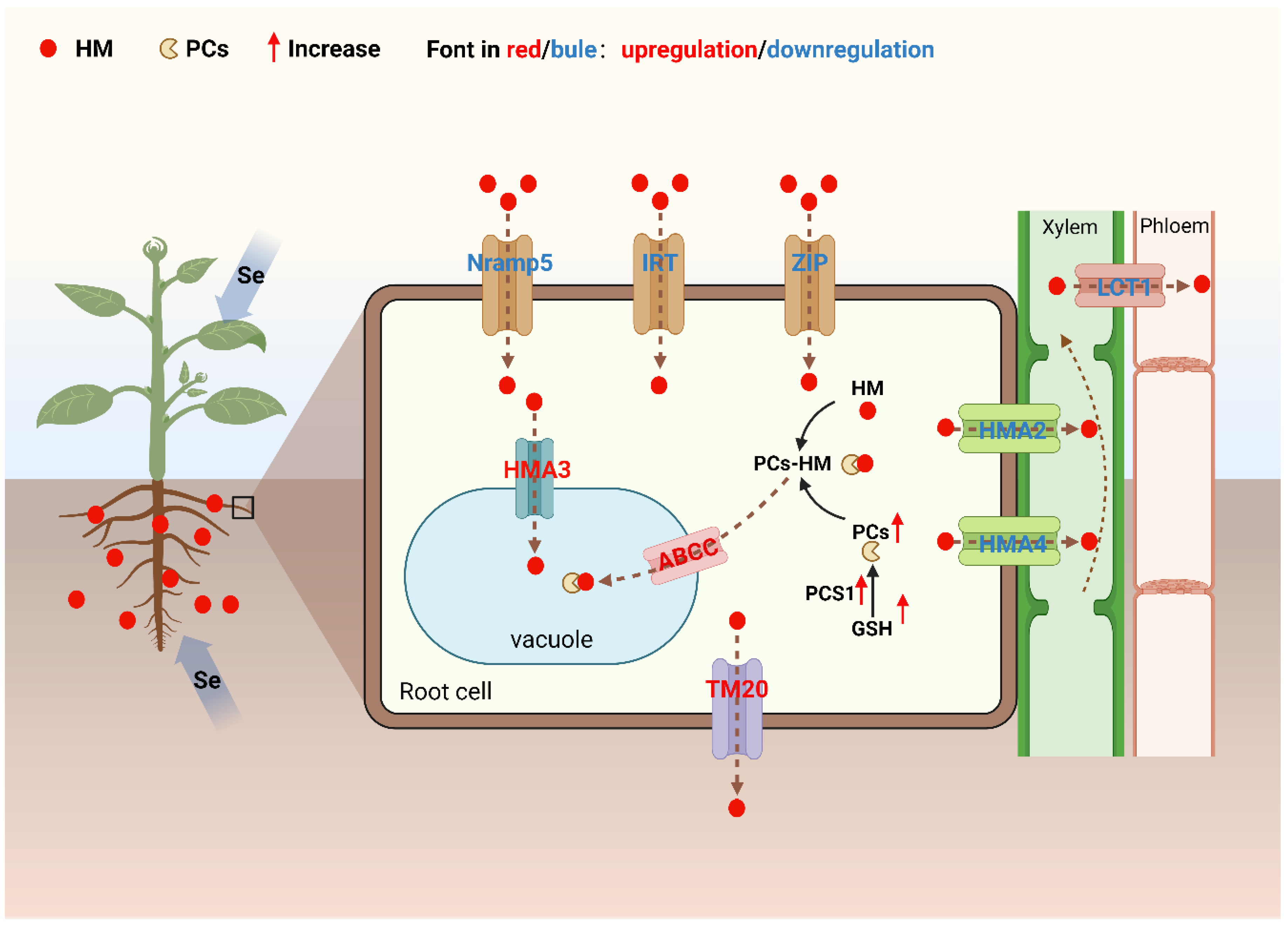 Preprints 193149 g004