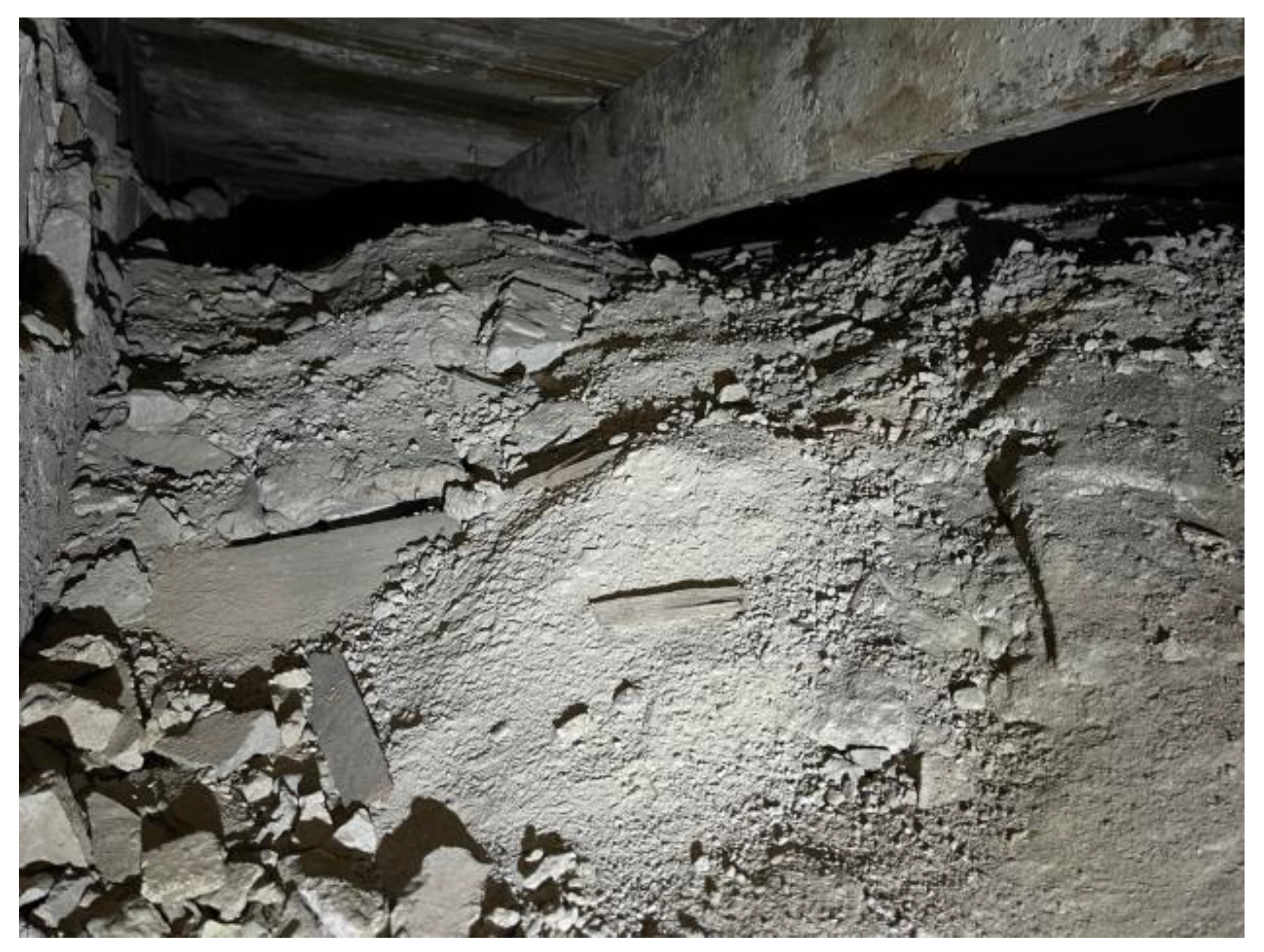 Preprints 168081 g017